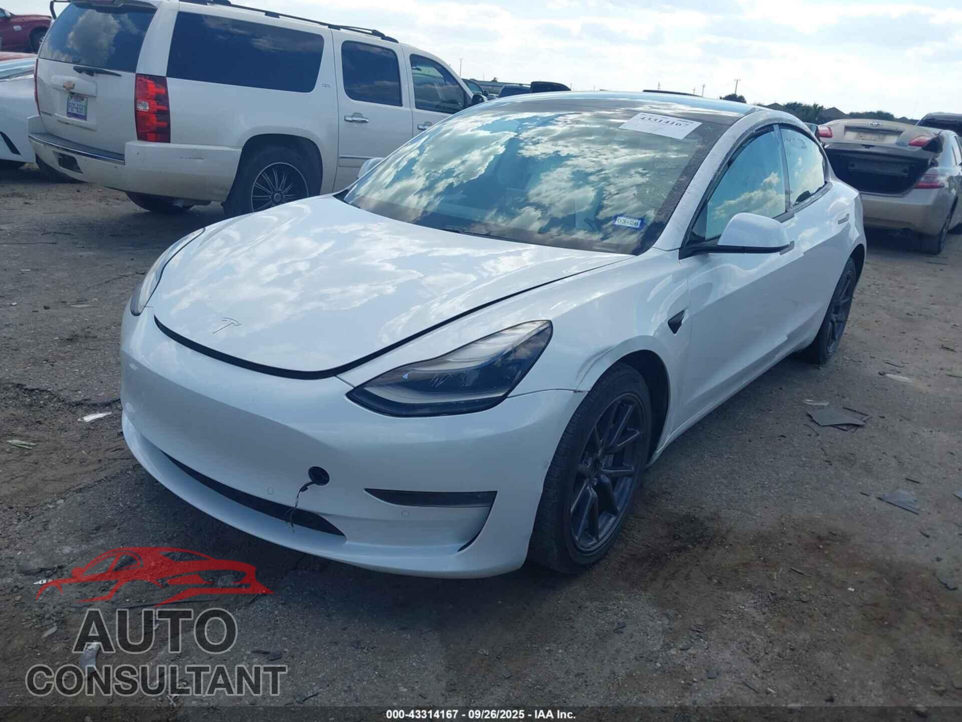 TESLA MODEL 3 2021 - 5YJ3E1EB5MF993033