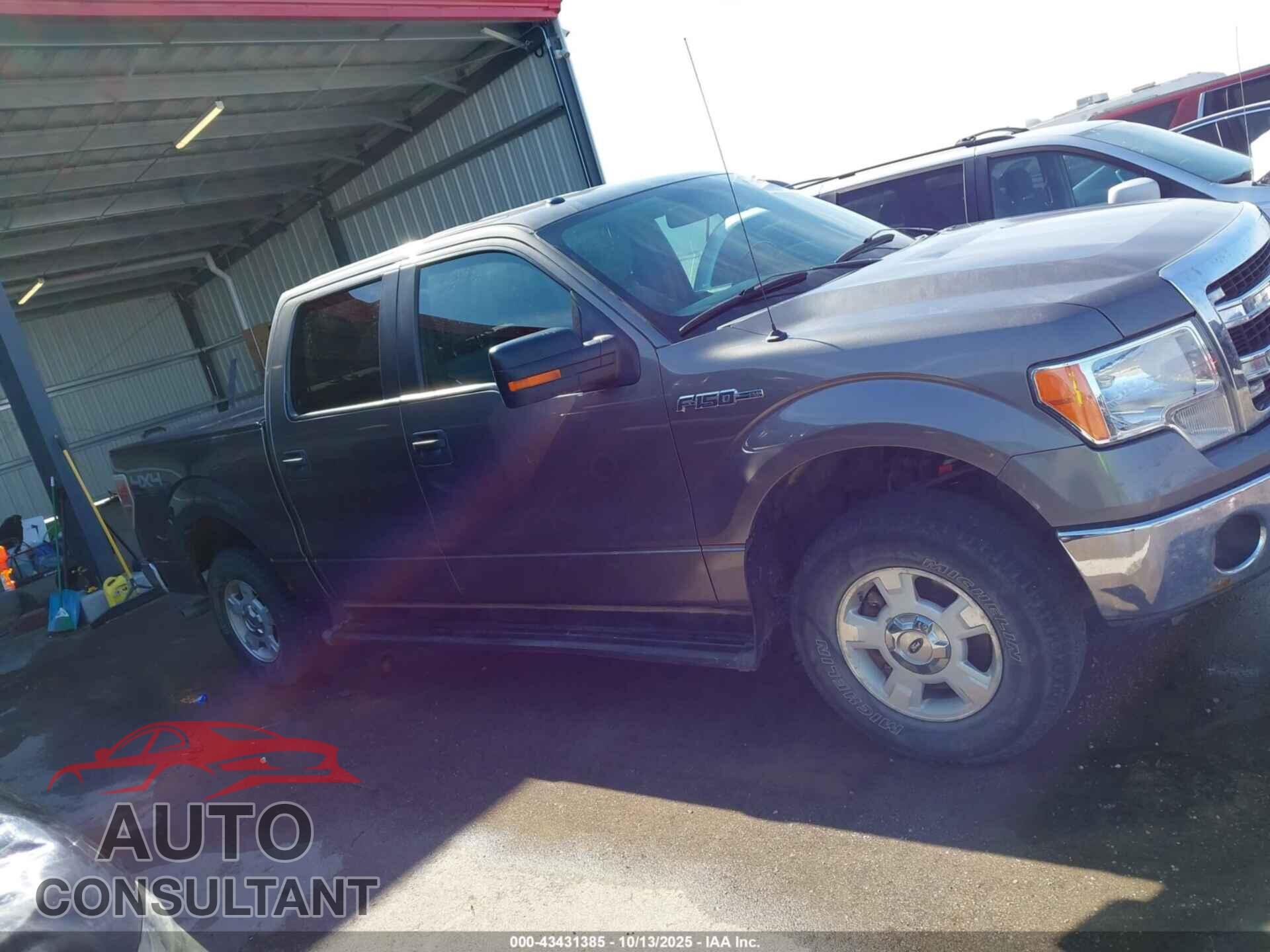 FORD F-150 2013 - 1FTFW1EF1DFE08344
