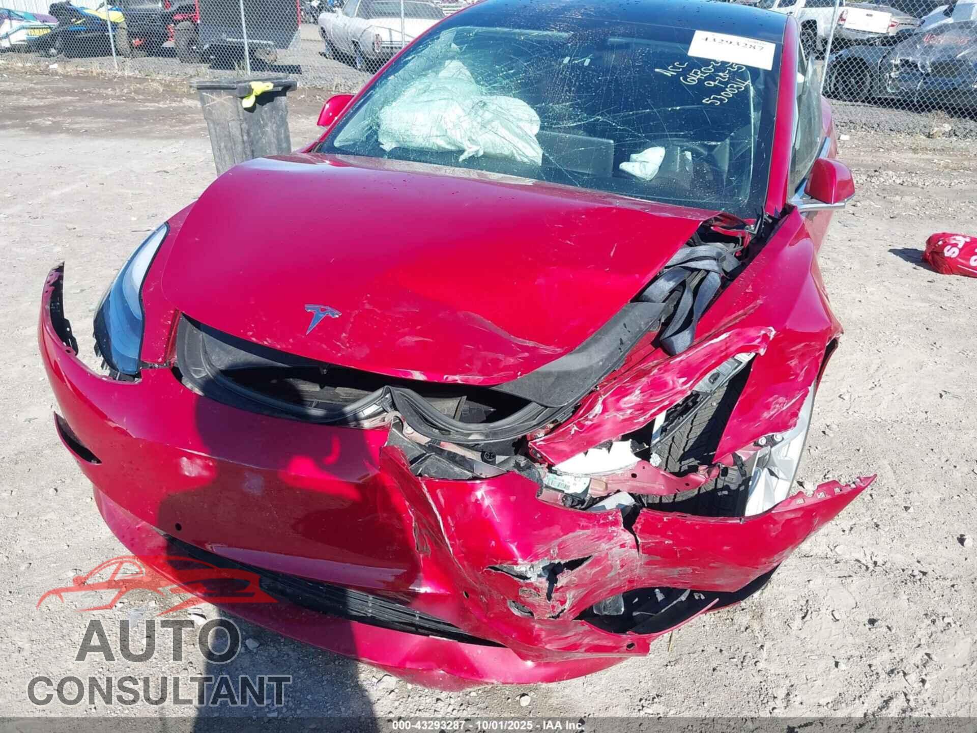 TESLA MODEL 3 2019 - 5YJ3E1EB9KF530034