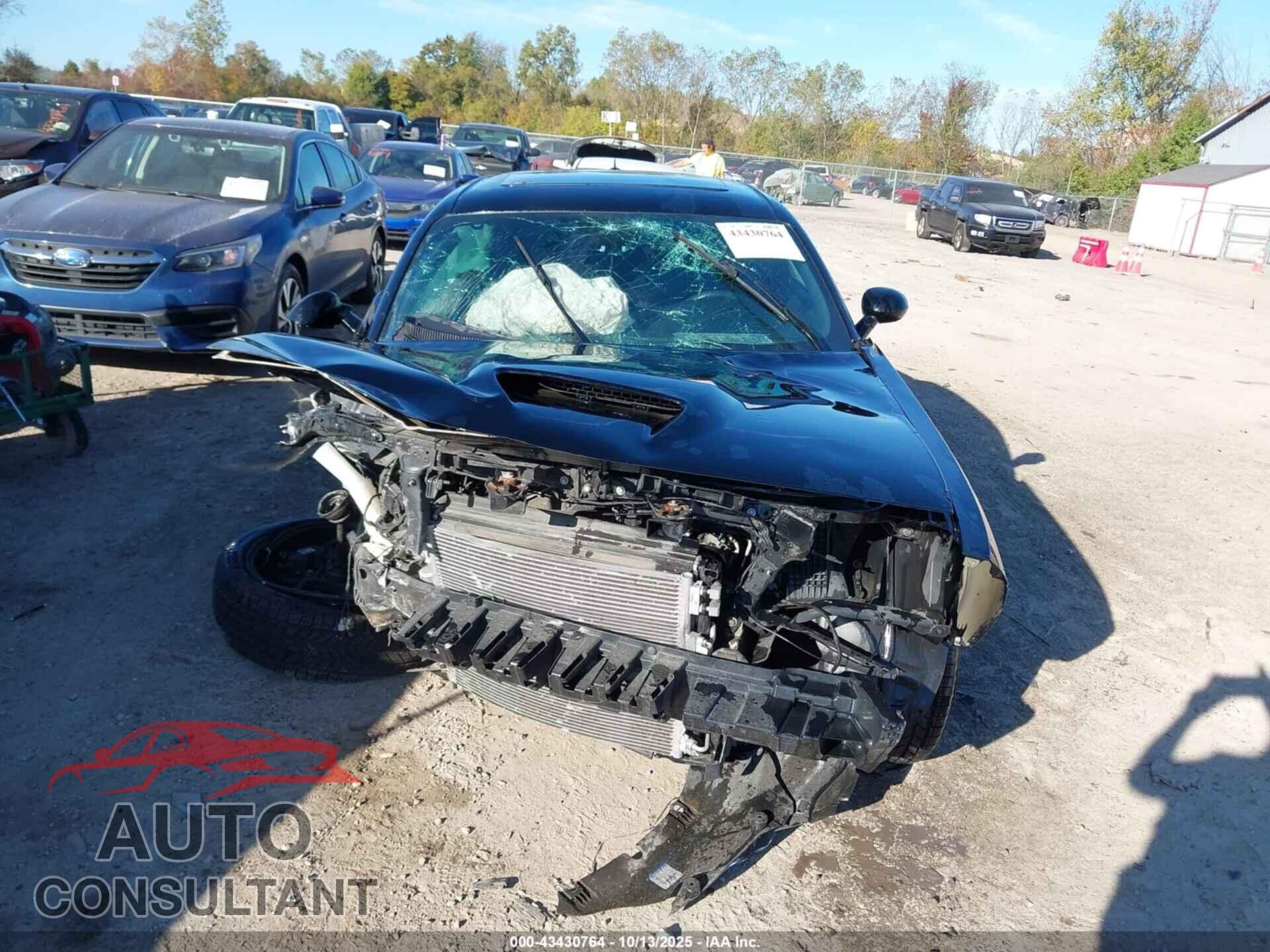 DODGE CHALLENGER 2019 - 2C3CDZKG4KH623317
