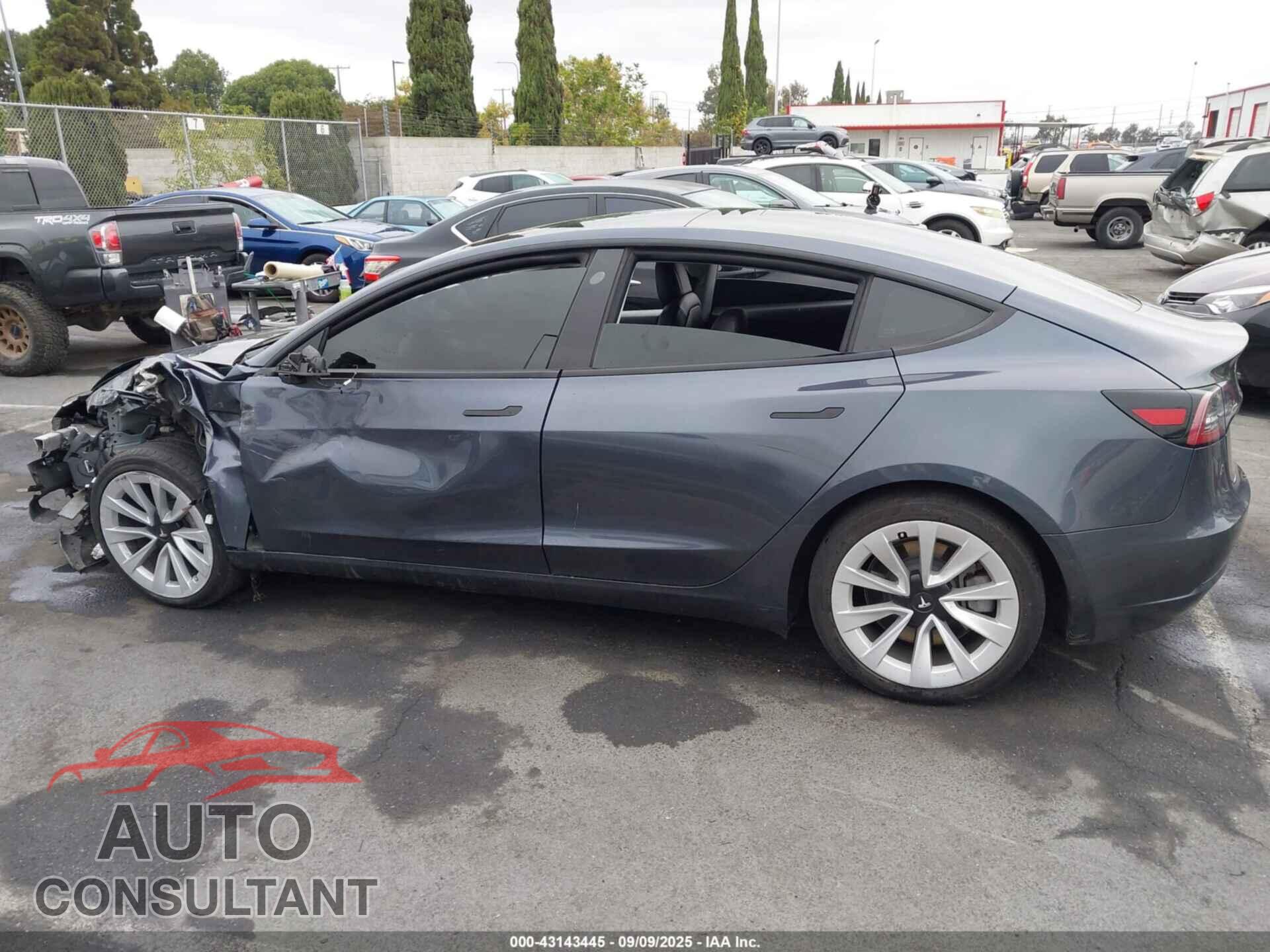 TESLA MODEL 3 2021 - 5YJ3E1EA7MF851080