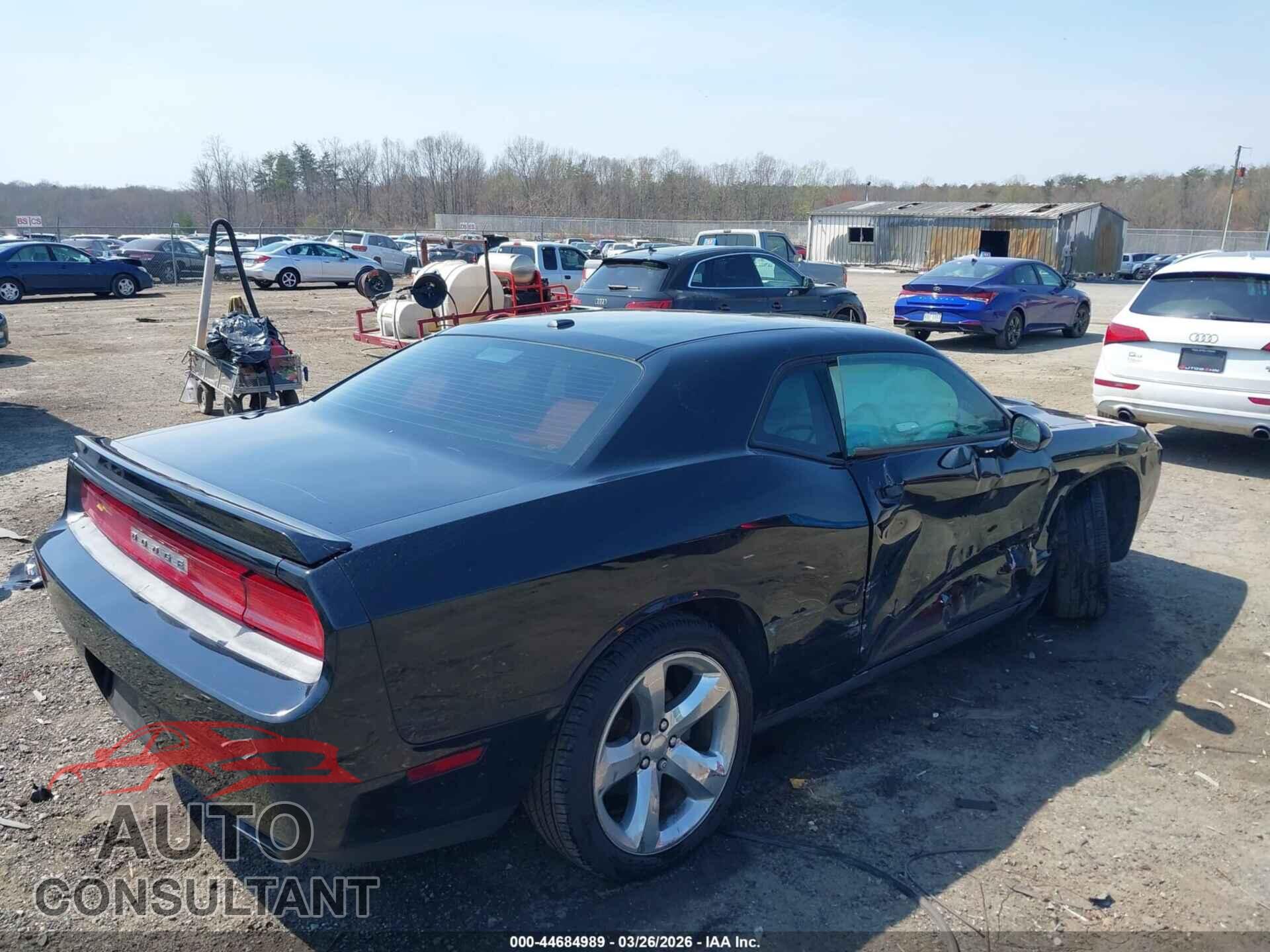 DODGE CHALLENGER 2013 - 2C3CDYAG2DH612475