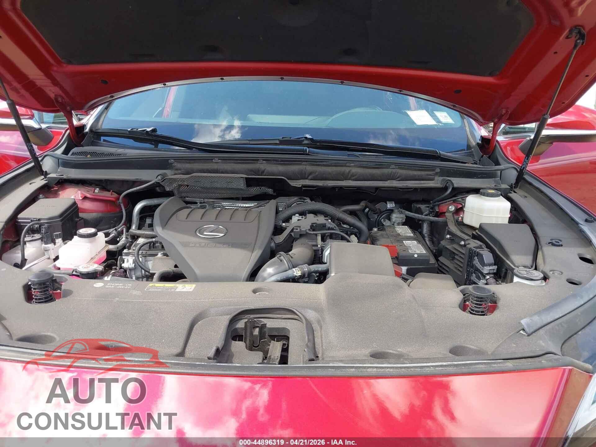 LEXUS RX 350 2025 - 2T2BAMCA5SC089425