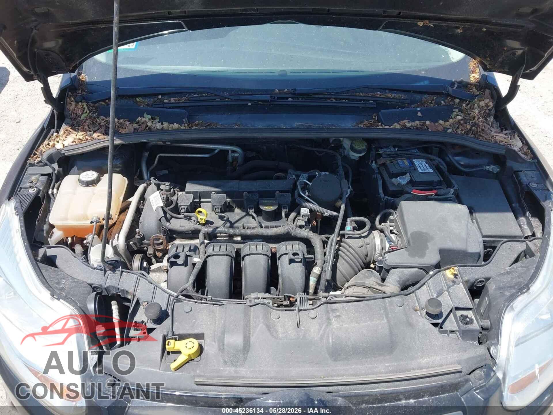FORD FOCUS 2012 - 1FAHP3K23CL361598