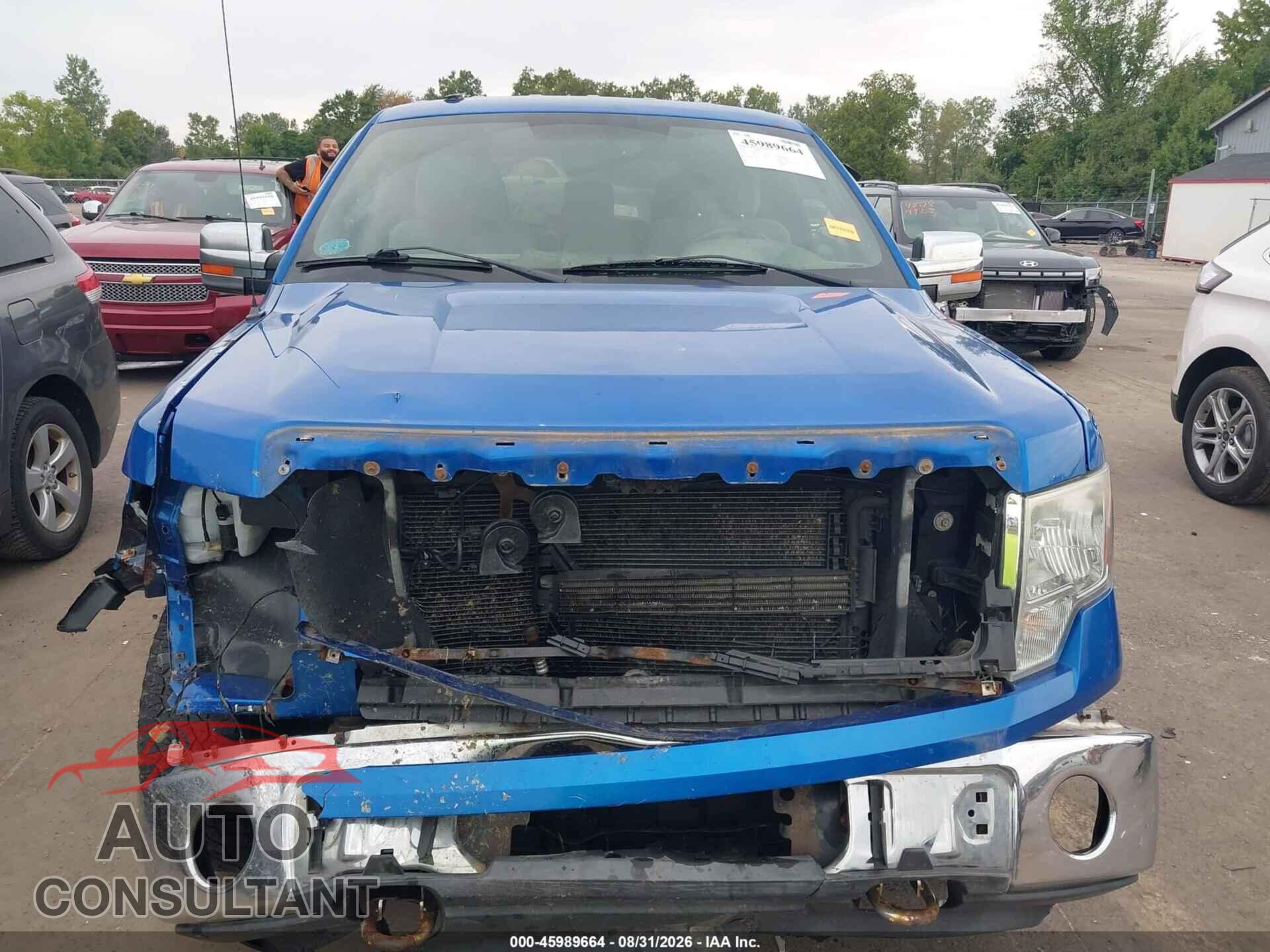 FORD F-150 2013 - 1FTFX1EF7DFD32383