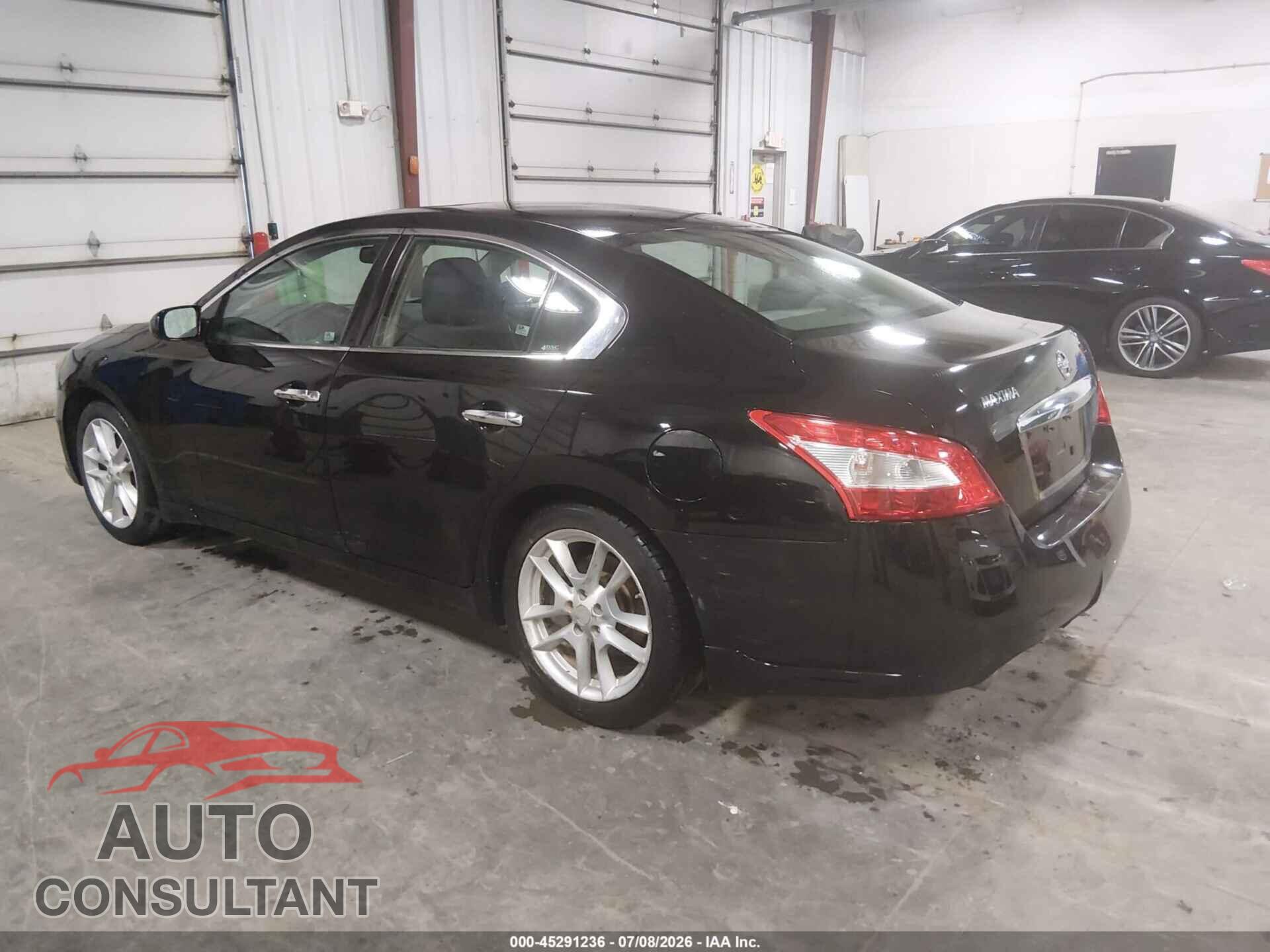 NISSAN MAXIMA 2011 - 1N4AA5AP1BC813719