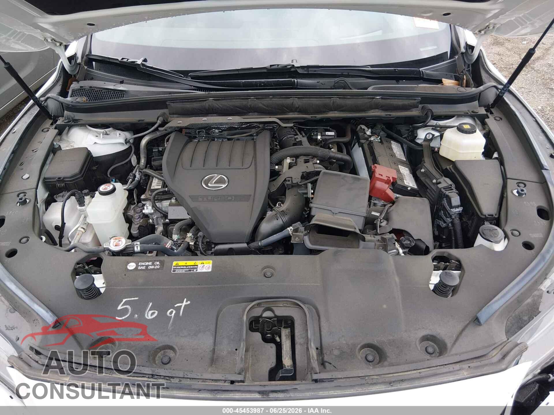 LEXUS RX 350 2024 - 2T2BAMBA0RC036806