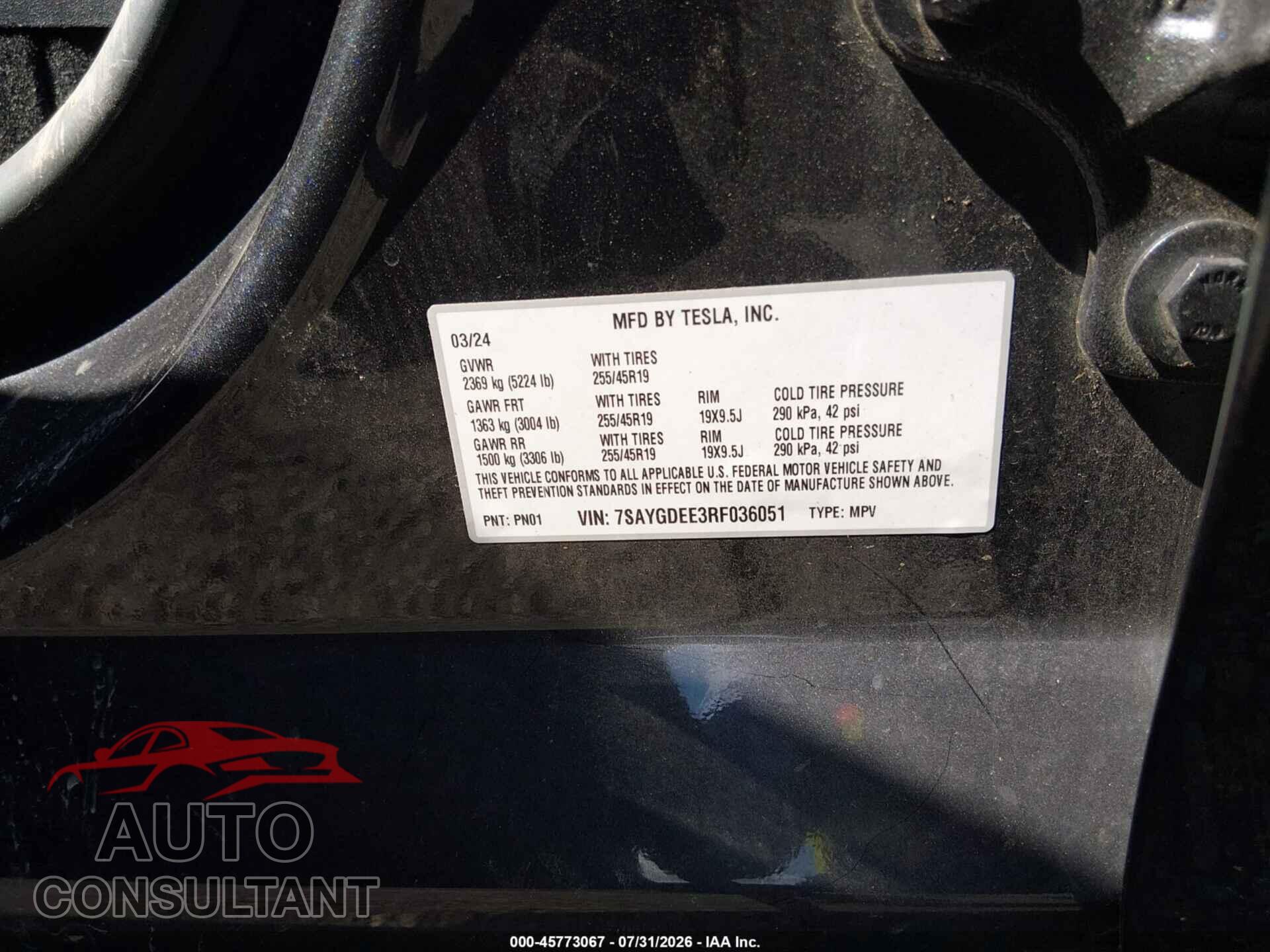 TESLA MODEL Y 2024 - 7SAYGDEE3RF036051
