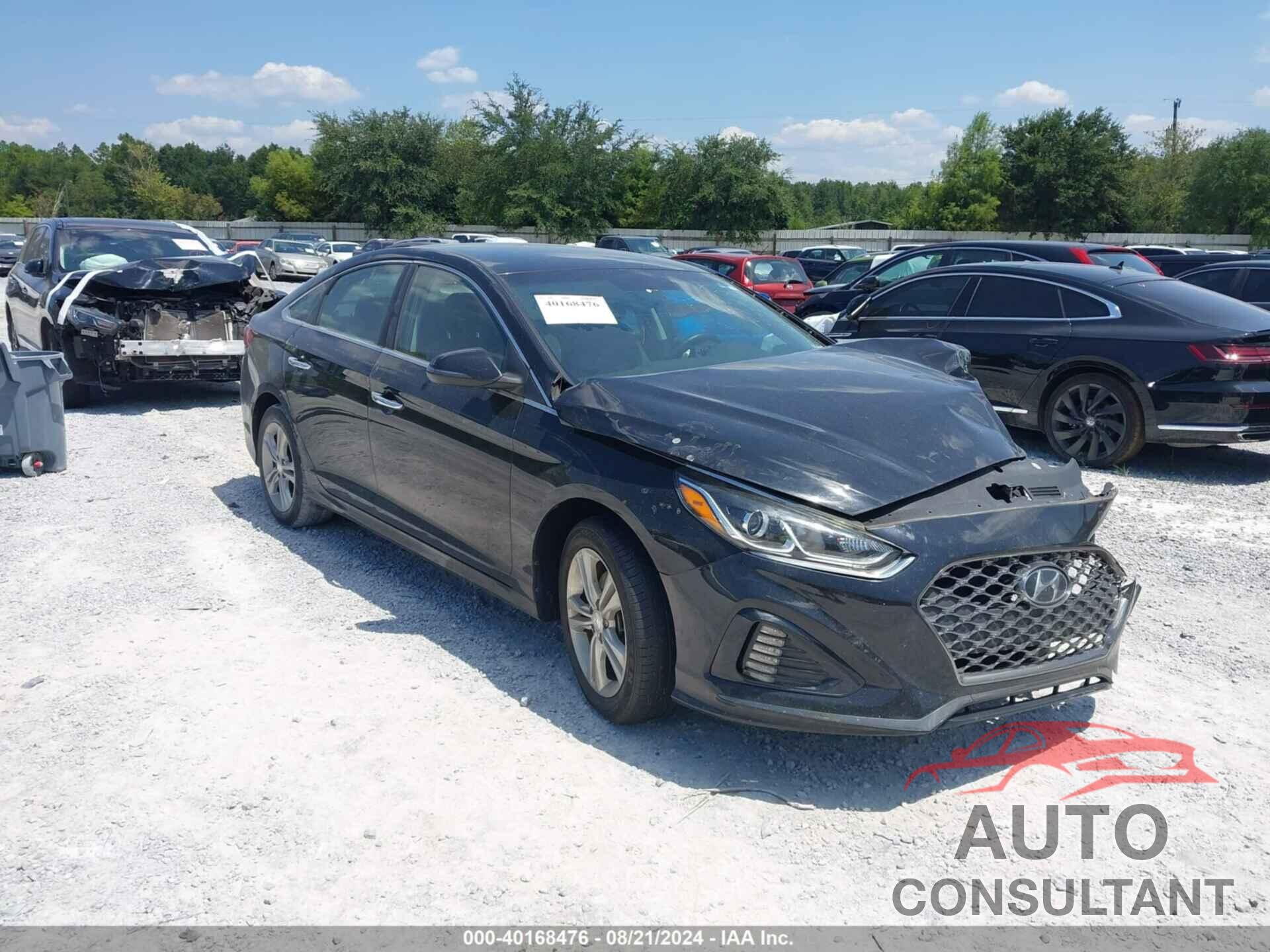 HYUNDAI SONATA 2019 - 5NPE34AF3KH753275