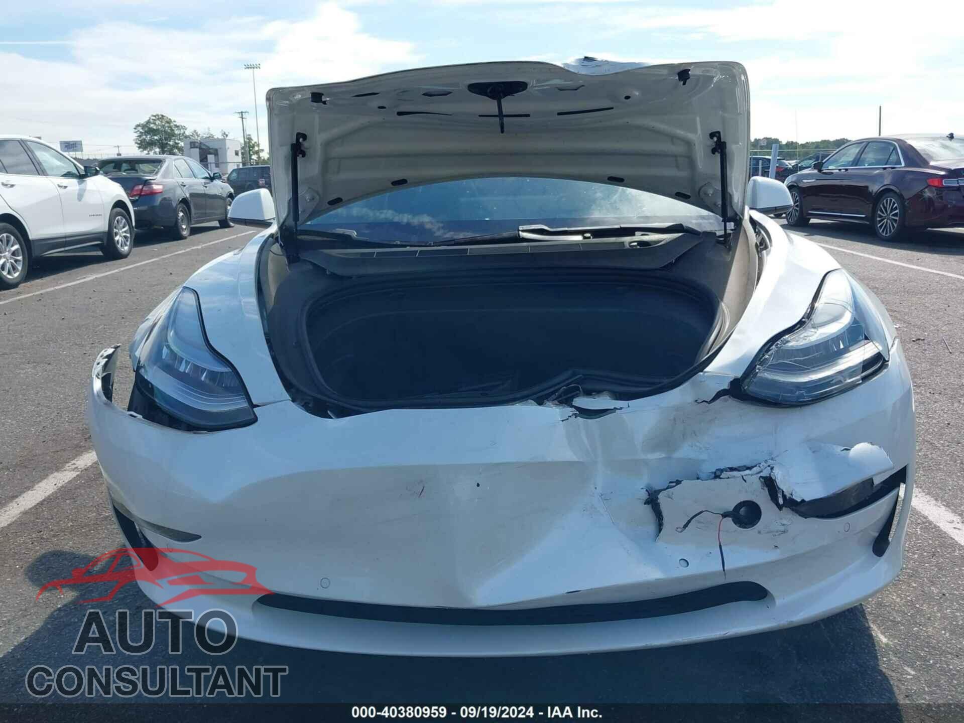 TESLA MODEL 3 2021 - 5YJ3E1EA1MF854816