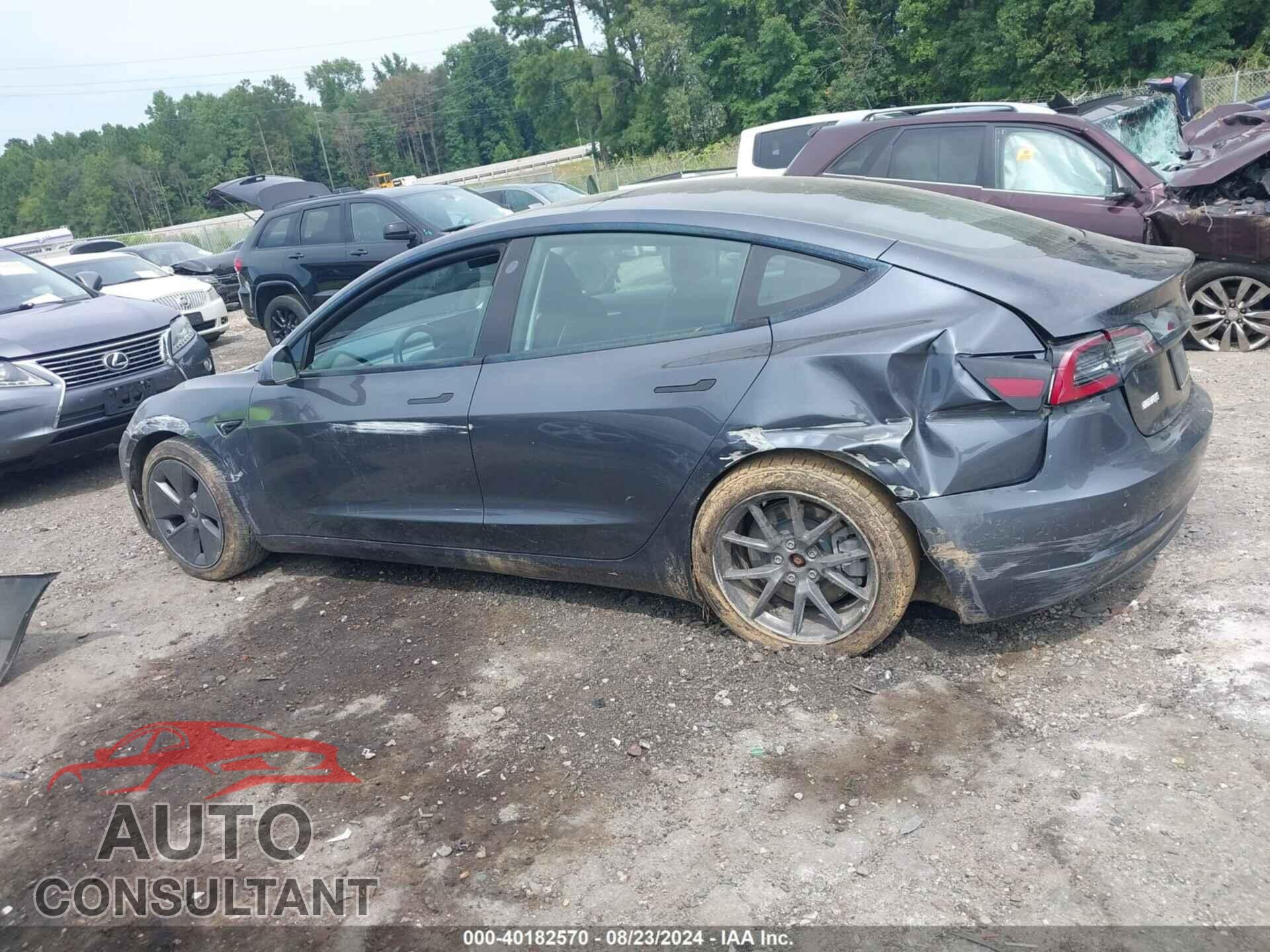 TESLA MODEL 3 2021 - 5YJ3E1EAXMF091646