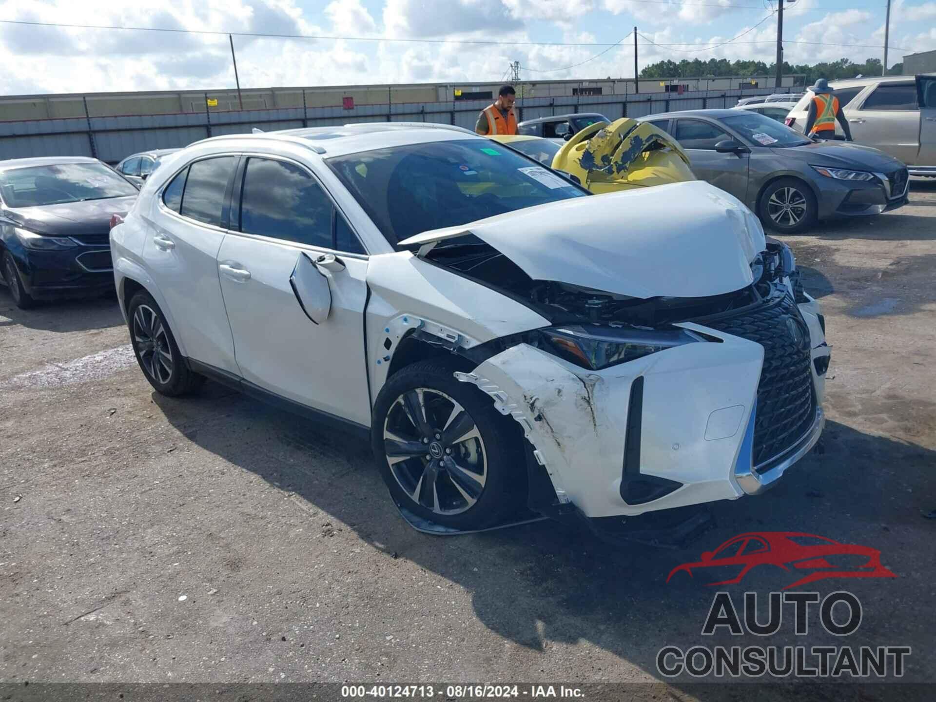 LEXUS UX 250H 2024 - JTHP6JBH7R2181622