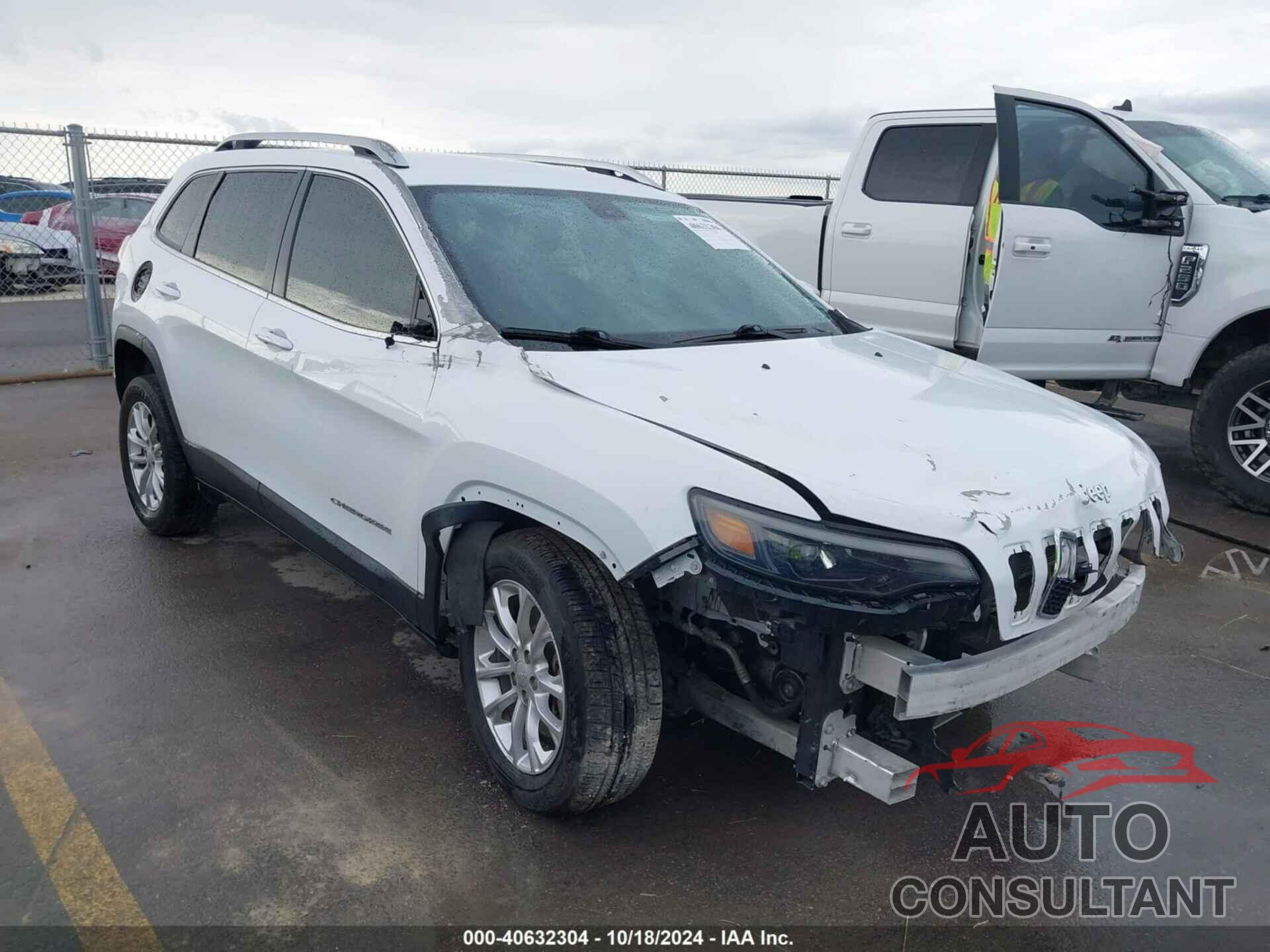 JEEP CHEROKEE 2019 - 1C4PJLCB7KD297404