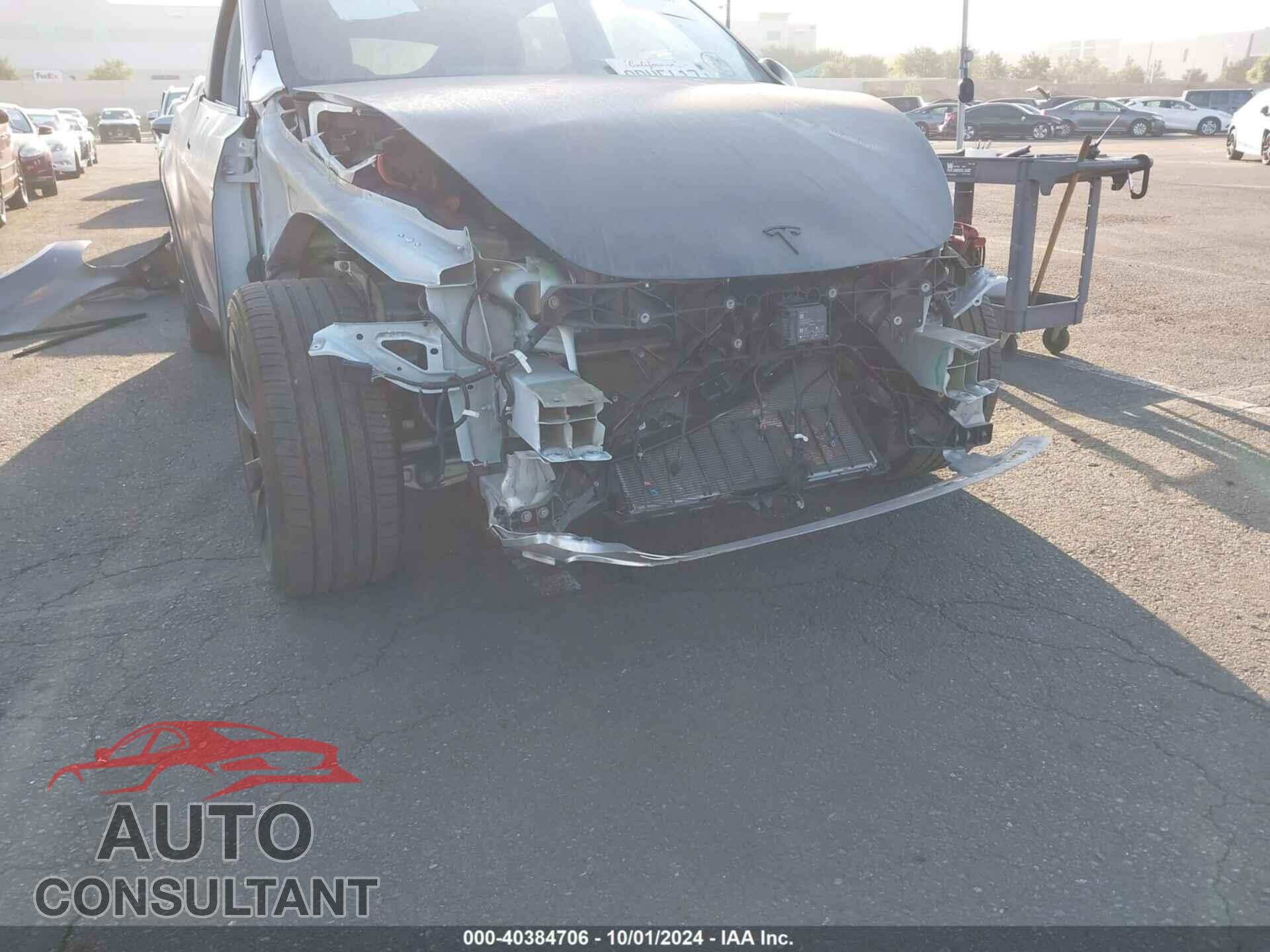 TESLA MODEL Y 2020 - 5YJYGDEE7LF031908