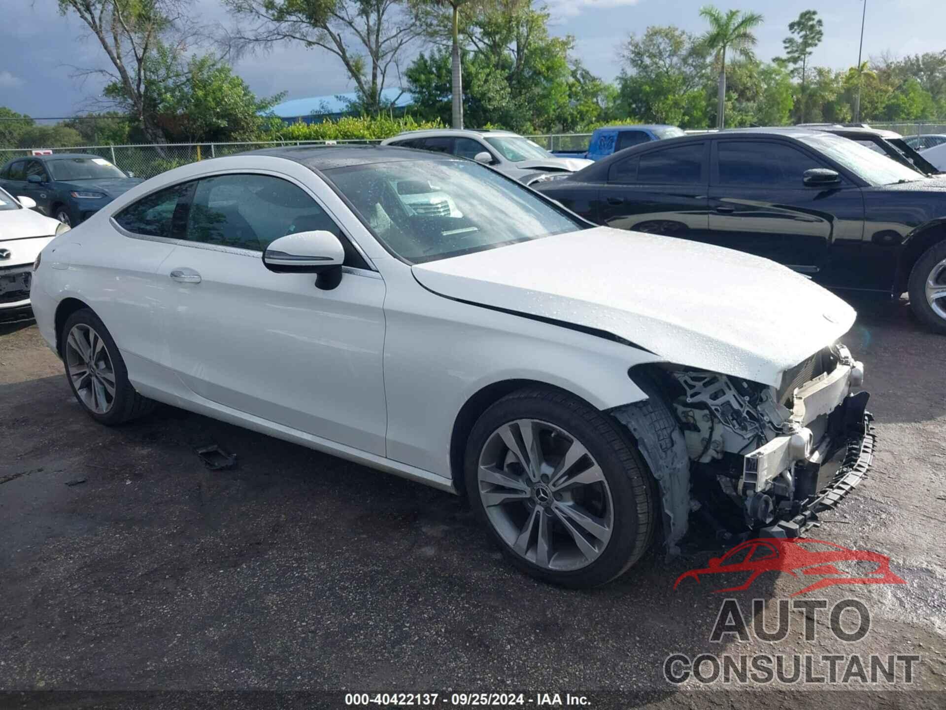 MERCEDES-BENZ C 2019 - WDDWJ8DB9KF774772