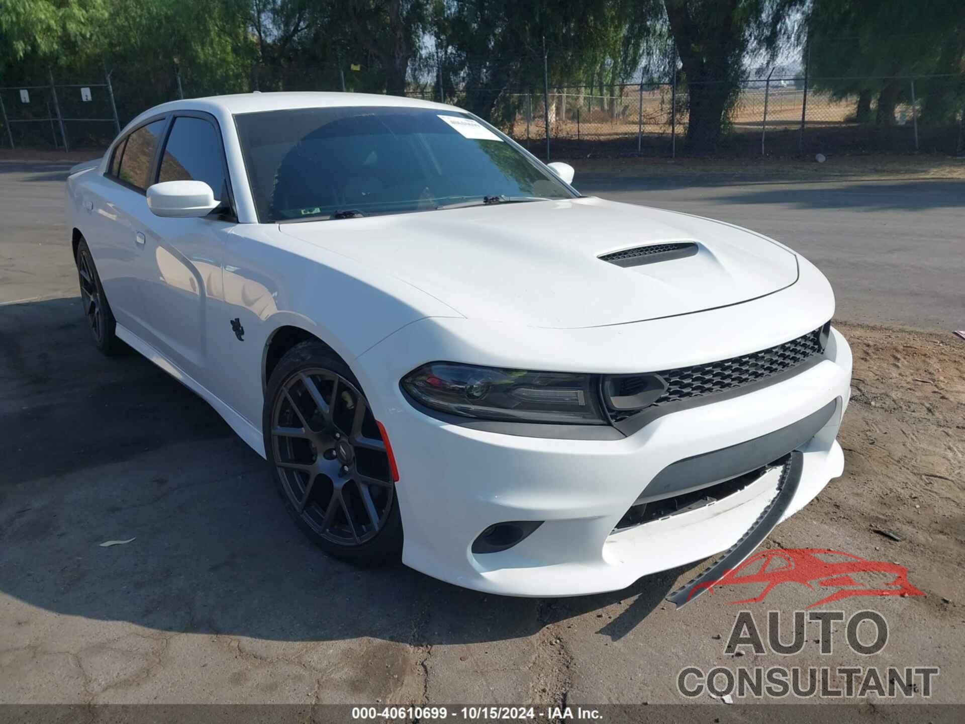 DODGE CHARGER 2018 - 2C3CDXGJ1JH297595