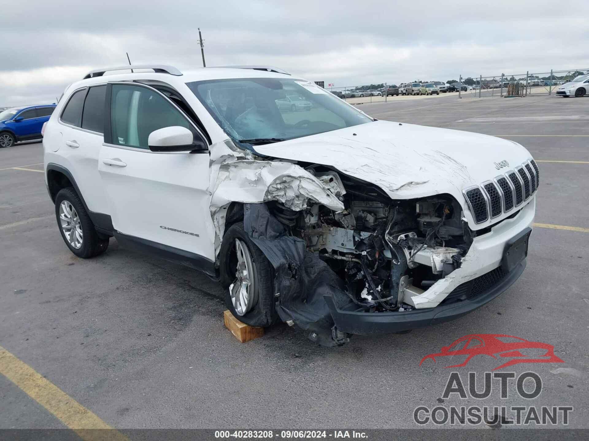 JEEP CHEROKEE 2019 - 1C4PJLCB9KD176695