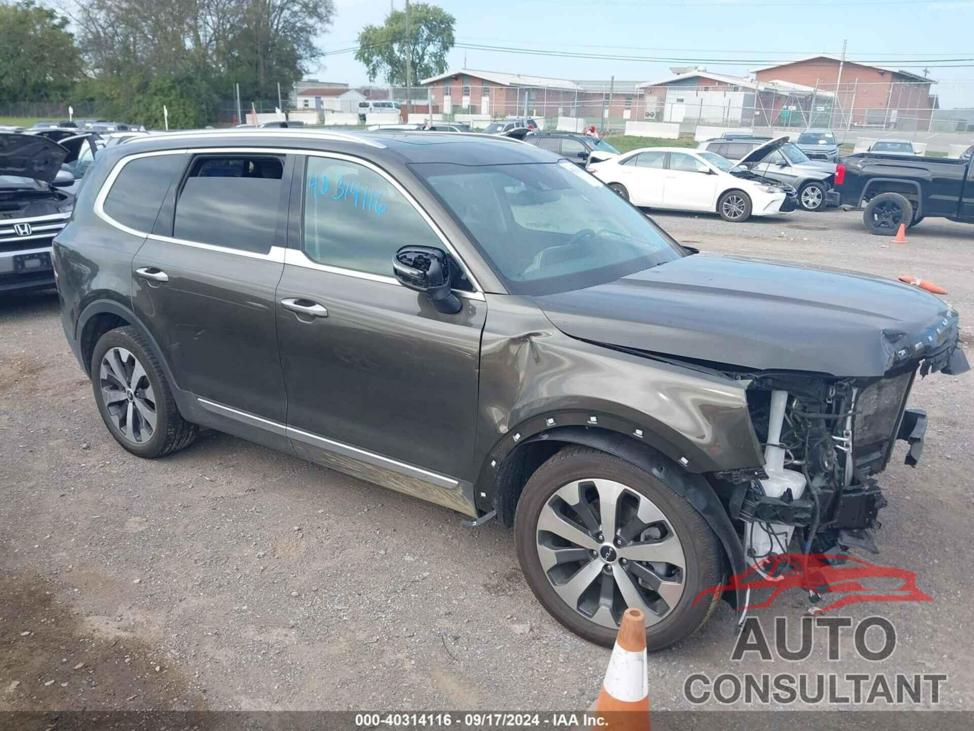 KIA TELLURIDE 2022 - 5XYP6DHC0NG291457