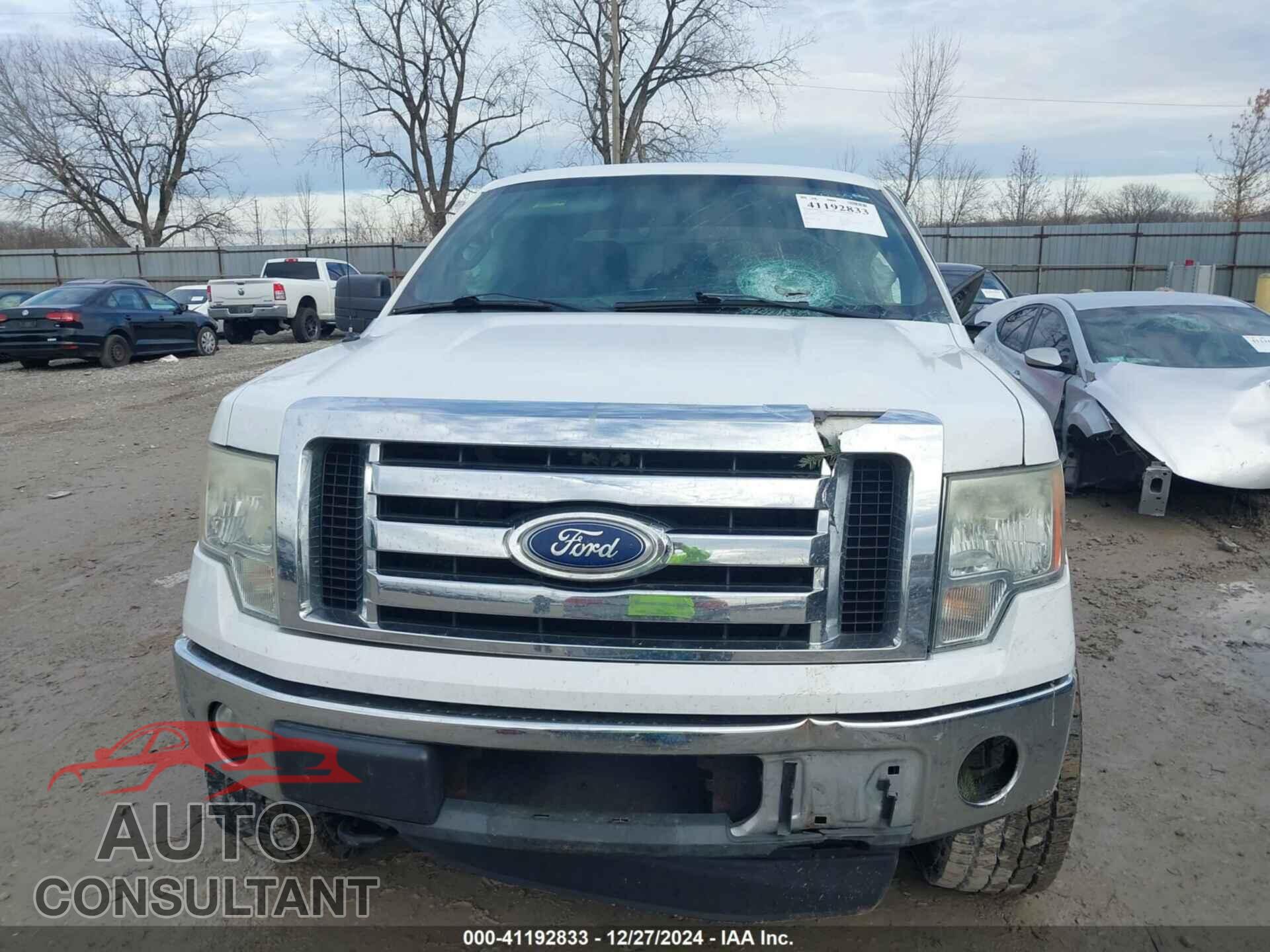 FORD F-150 2011 - 1FTFX1EF3BFA20185