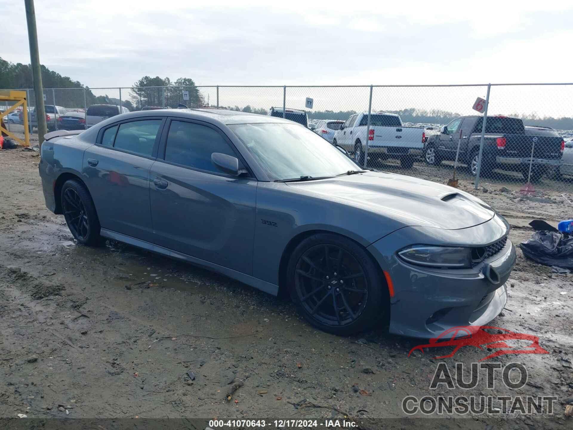 DODGE CHARGER 2019 - 2C3CDXGJ8KH599399