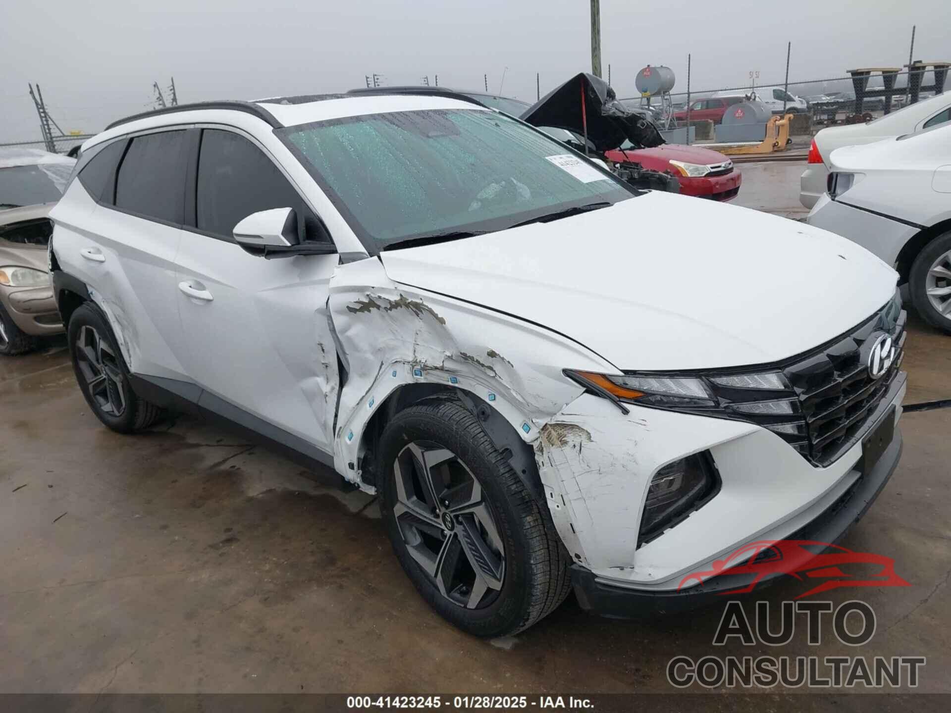 HYUNDAI TUCSON 2024 - 5NMJF3DE8RH385556