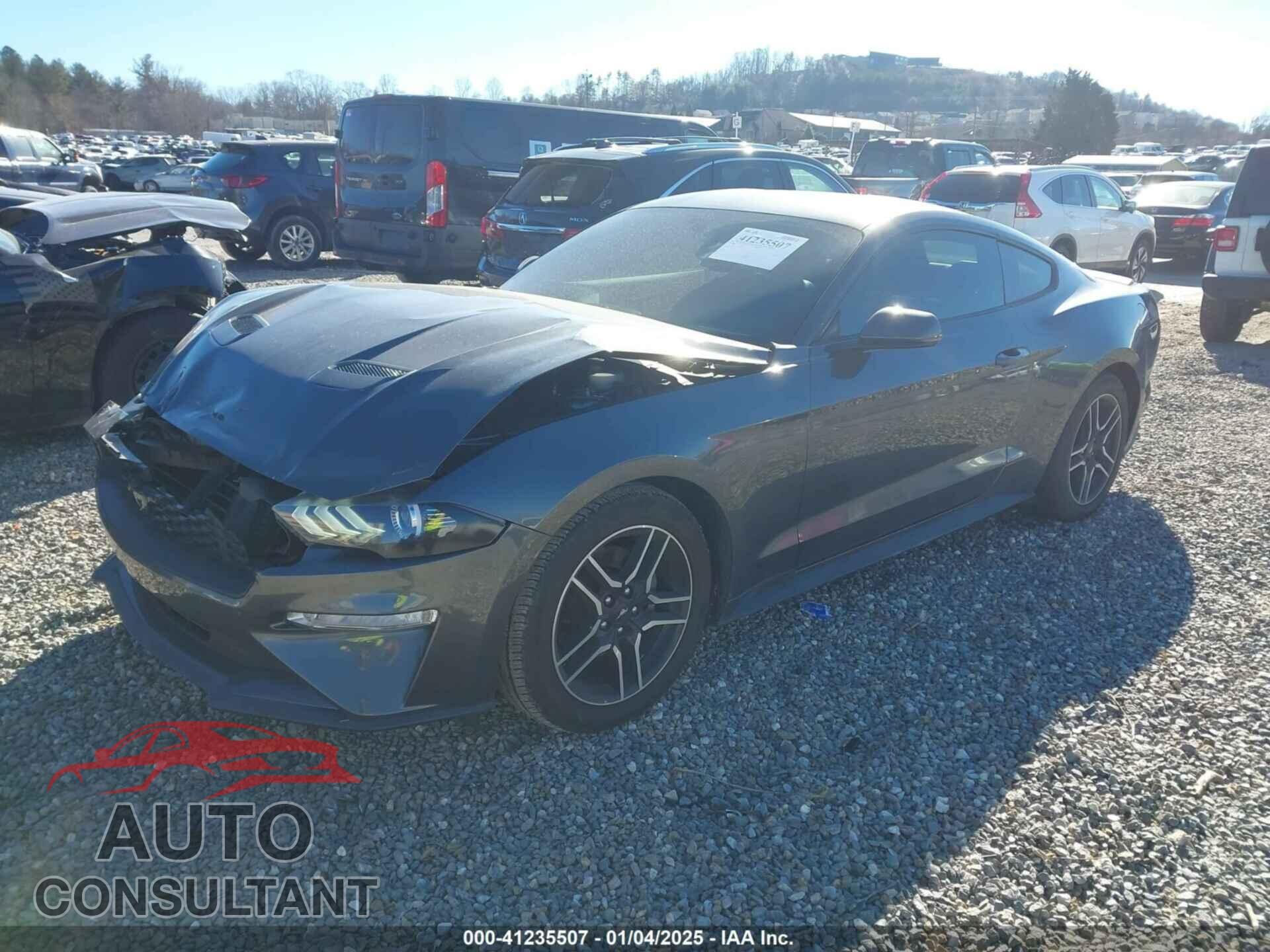 FORD MUSTANG 2019 - 1FA6P8TH4K5125567