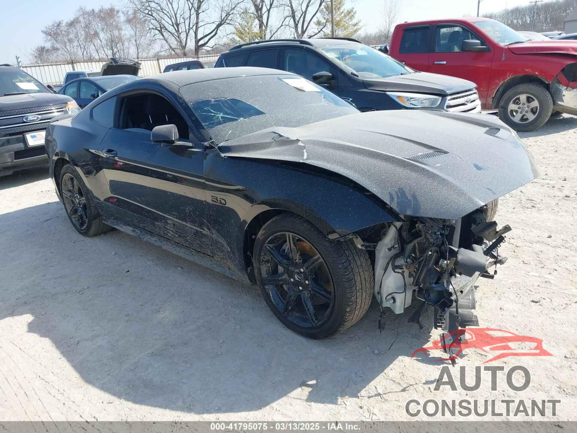 FORD MUSTANG 2019 - 1FA6P8CF0K5129940
