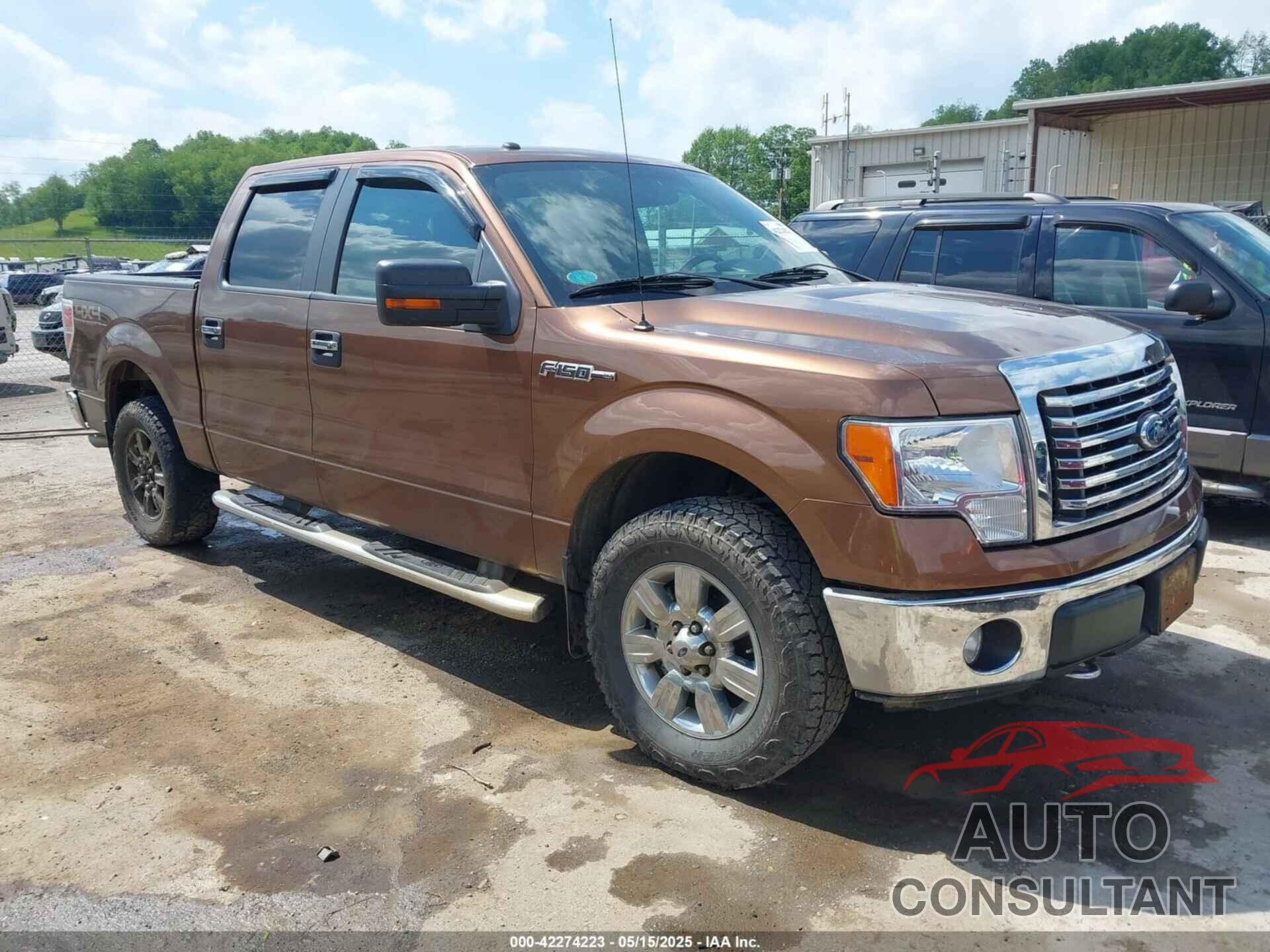 FORD F-150 2011 - 1FTFW1EF0BFB53599