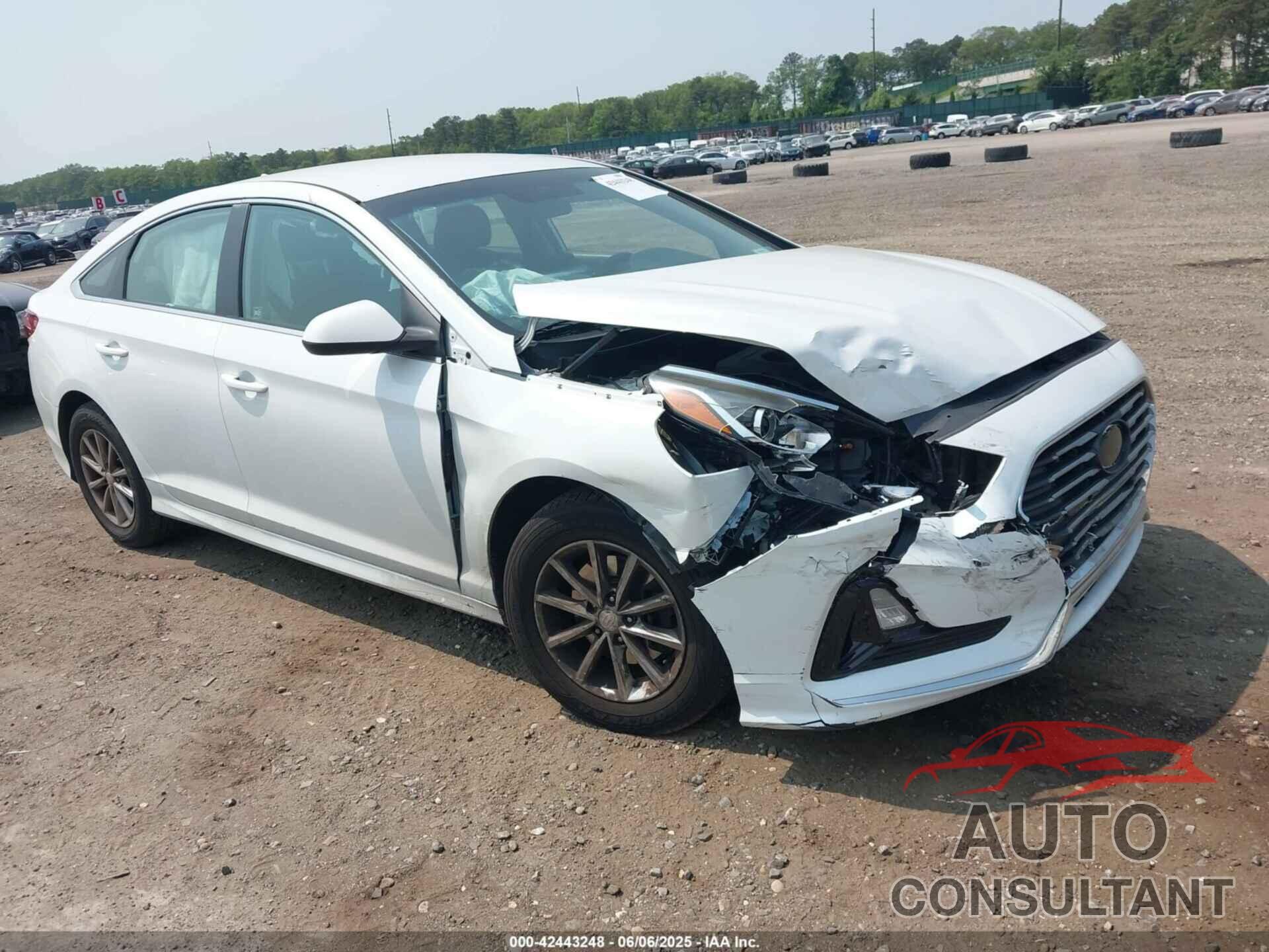 HYUNDAI SONATA 2019 - 5NPE24AF7KH756781