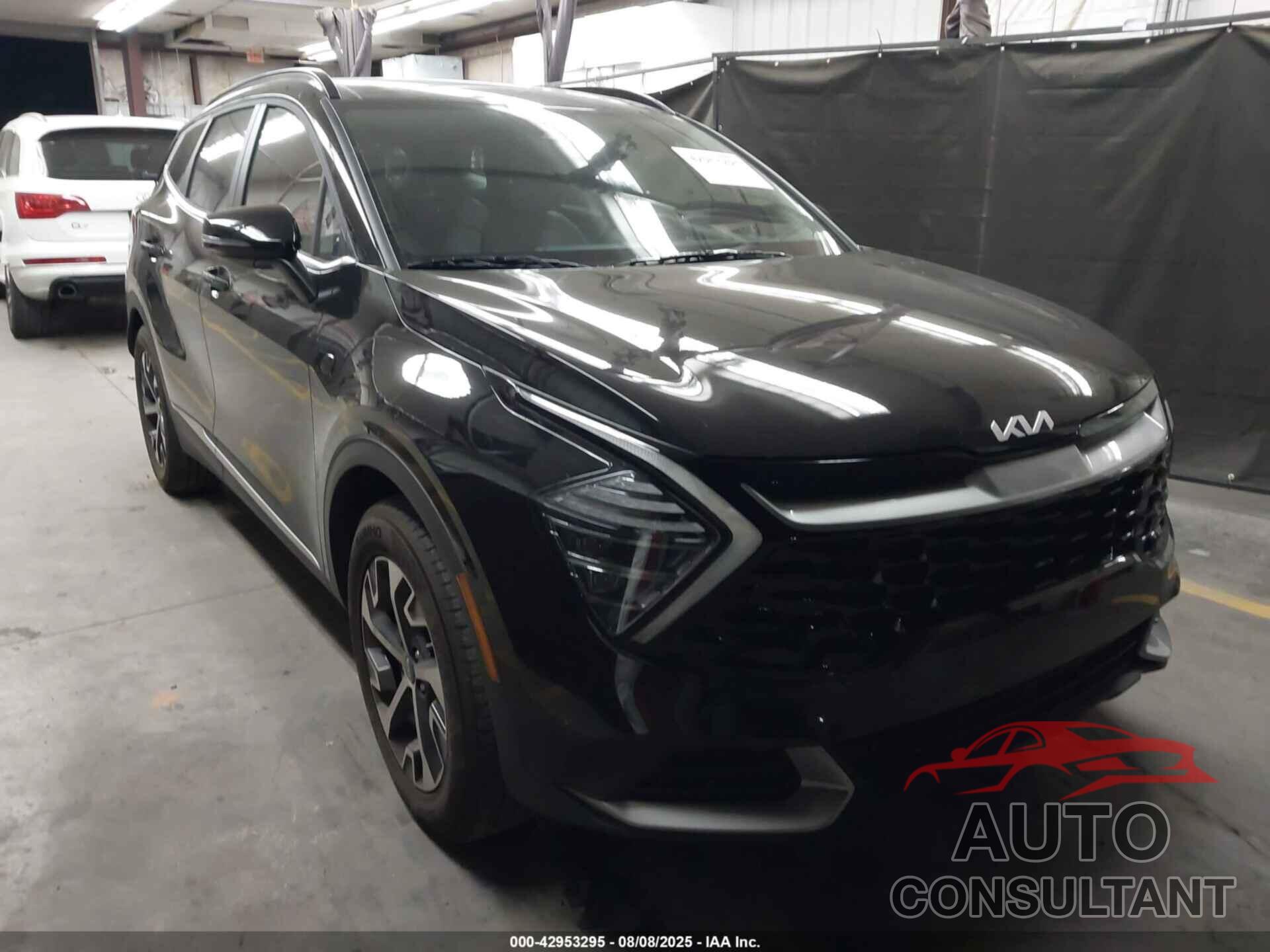 KIA SPORTAGE 2025 - 5XYK33DF7SG287026
