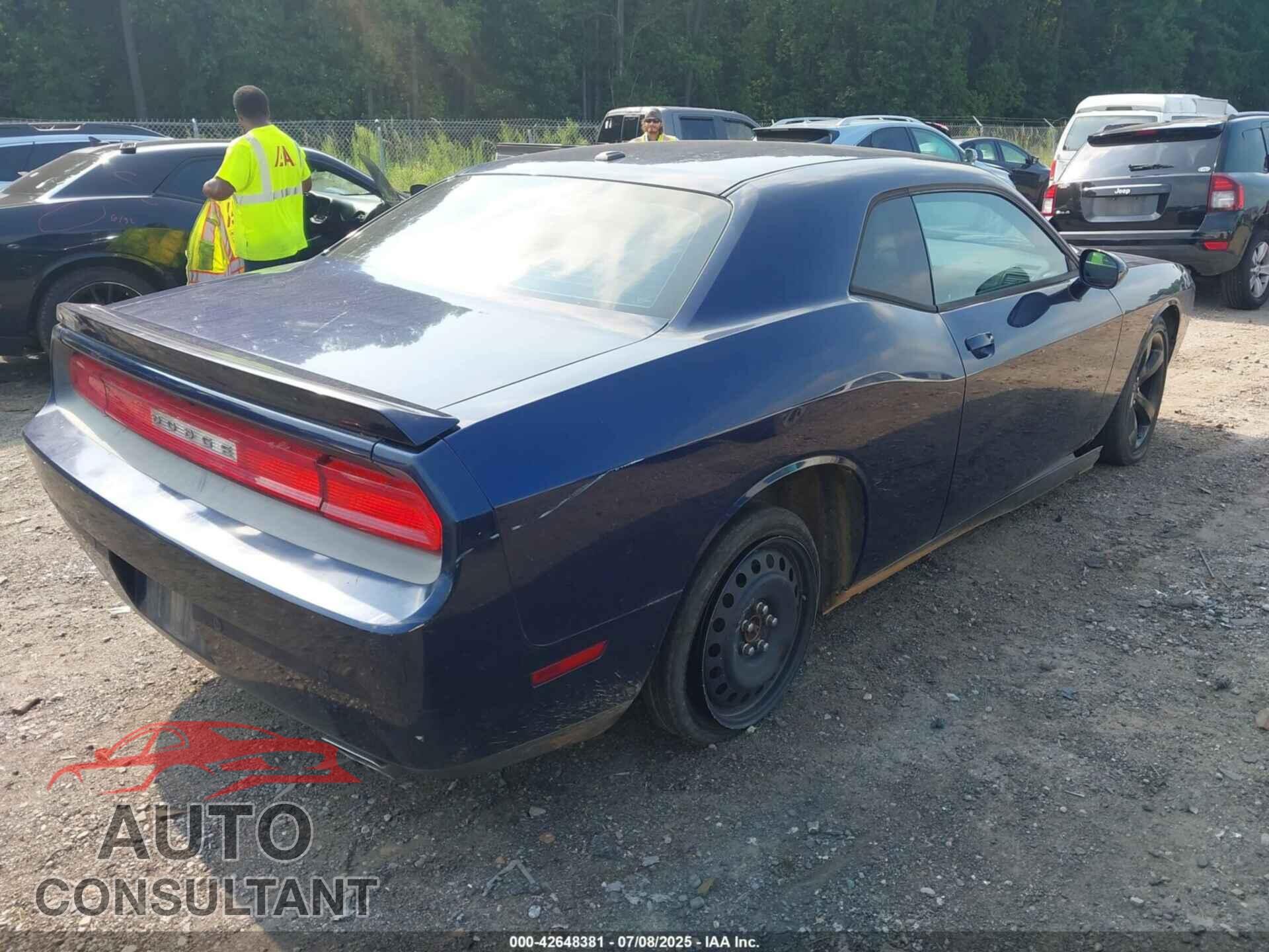 DODGE CHALLENGER 2013 - 2C3CDYAG9DH663407