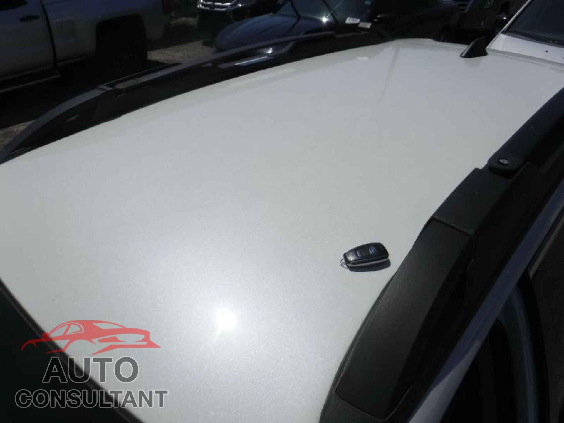SUBARU OUTBACK 2023 - 4S4BTADC5P3138549