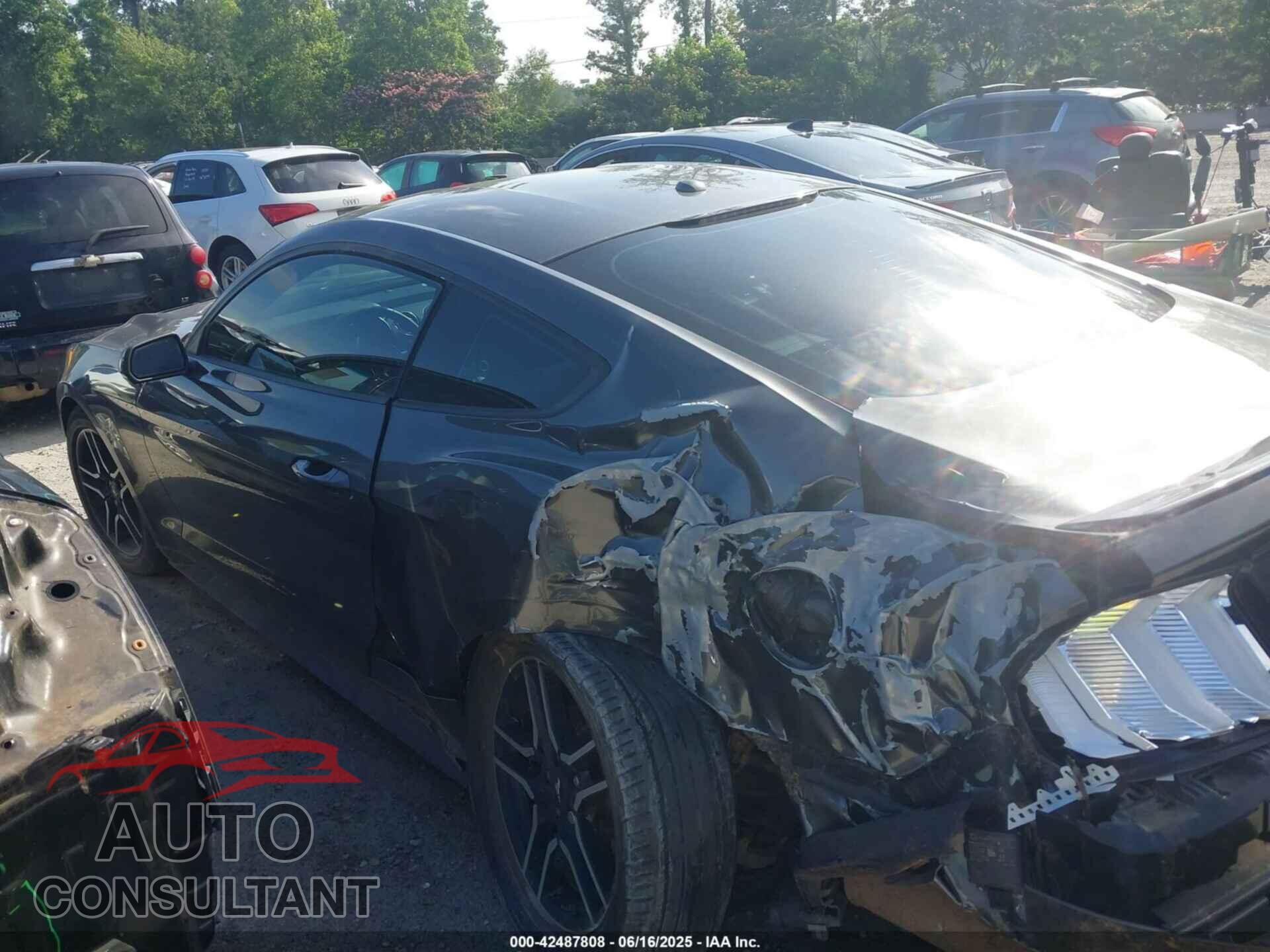 FORD MUSTANG 2019 - 1FA6P8TH5K5116389