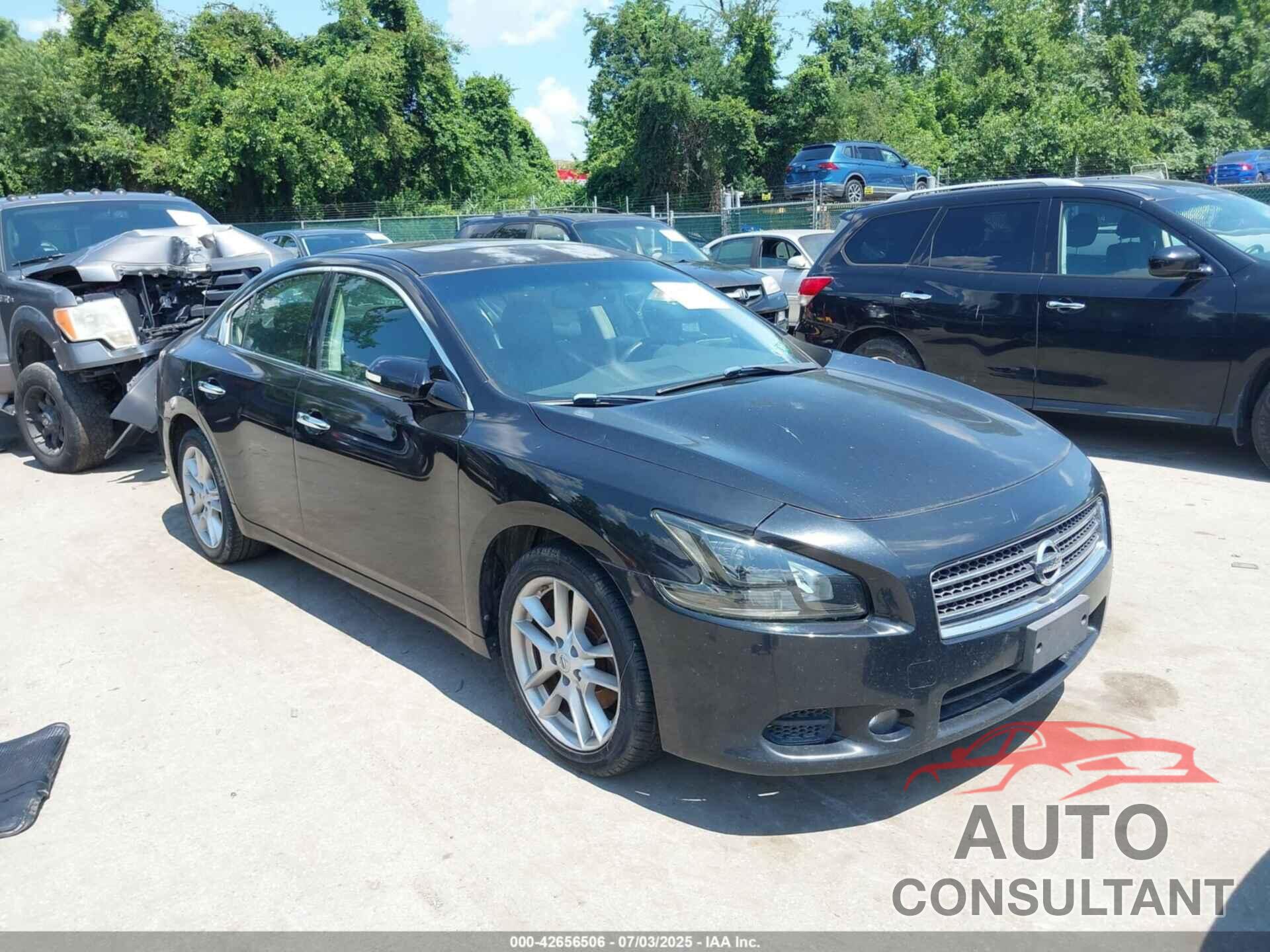 NISSAN MAXIMA 2011 - 1N4AA5AP8BC809554