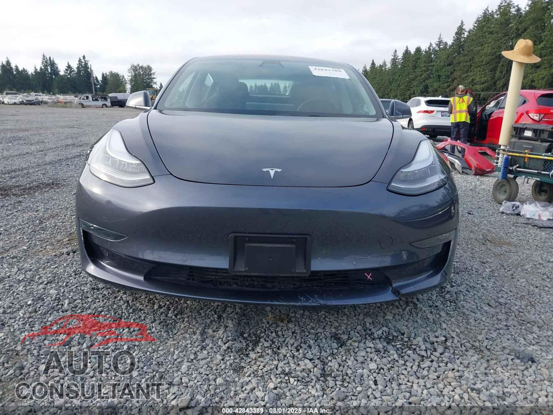 TESLA MODEL 3 2019 - 5YJ3E1EA3KF324280