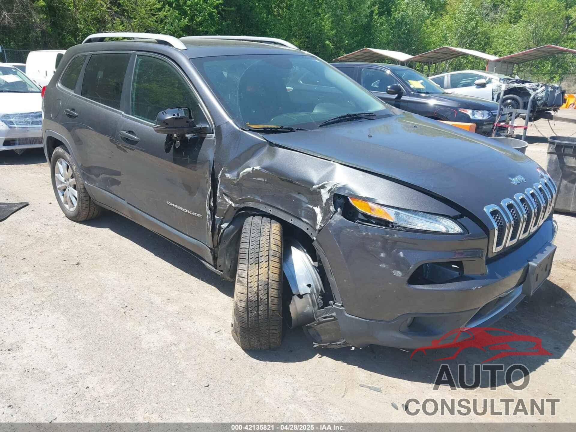 JEEP CHEROKEE 2016 - 1C4PJMDB5GW251098