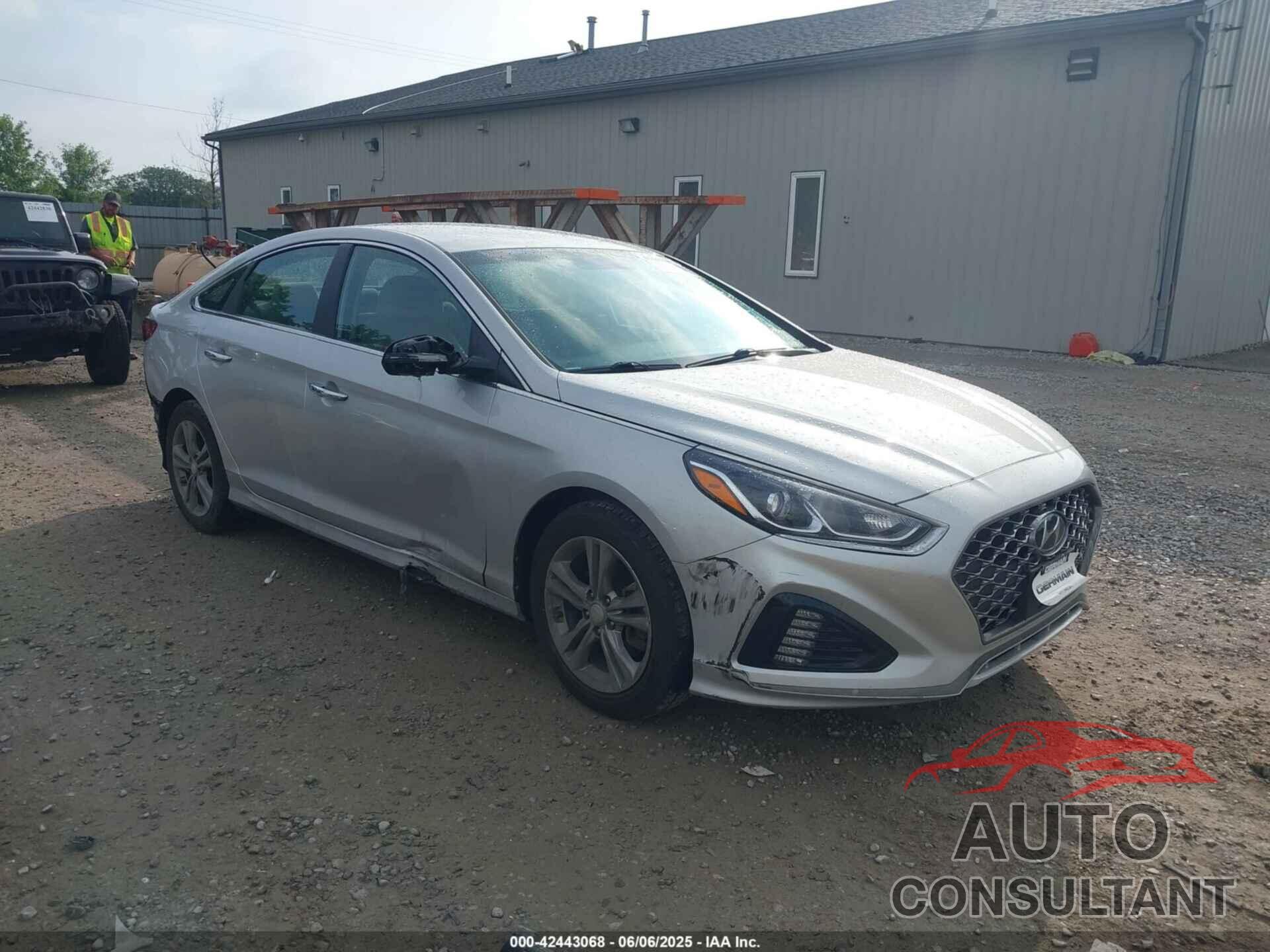HYUNDAI SONATA 2019 - 5NPE34AF8KH758374