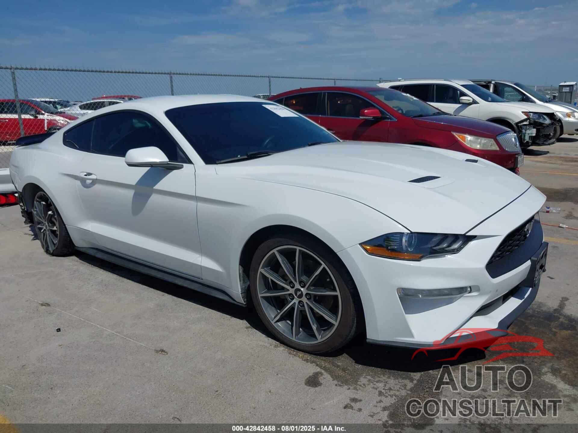 FORD MUSTANG 2019 - 1FA6P8TH9K5168690