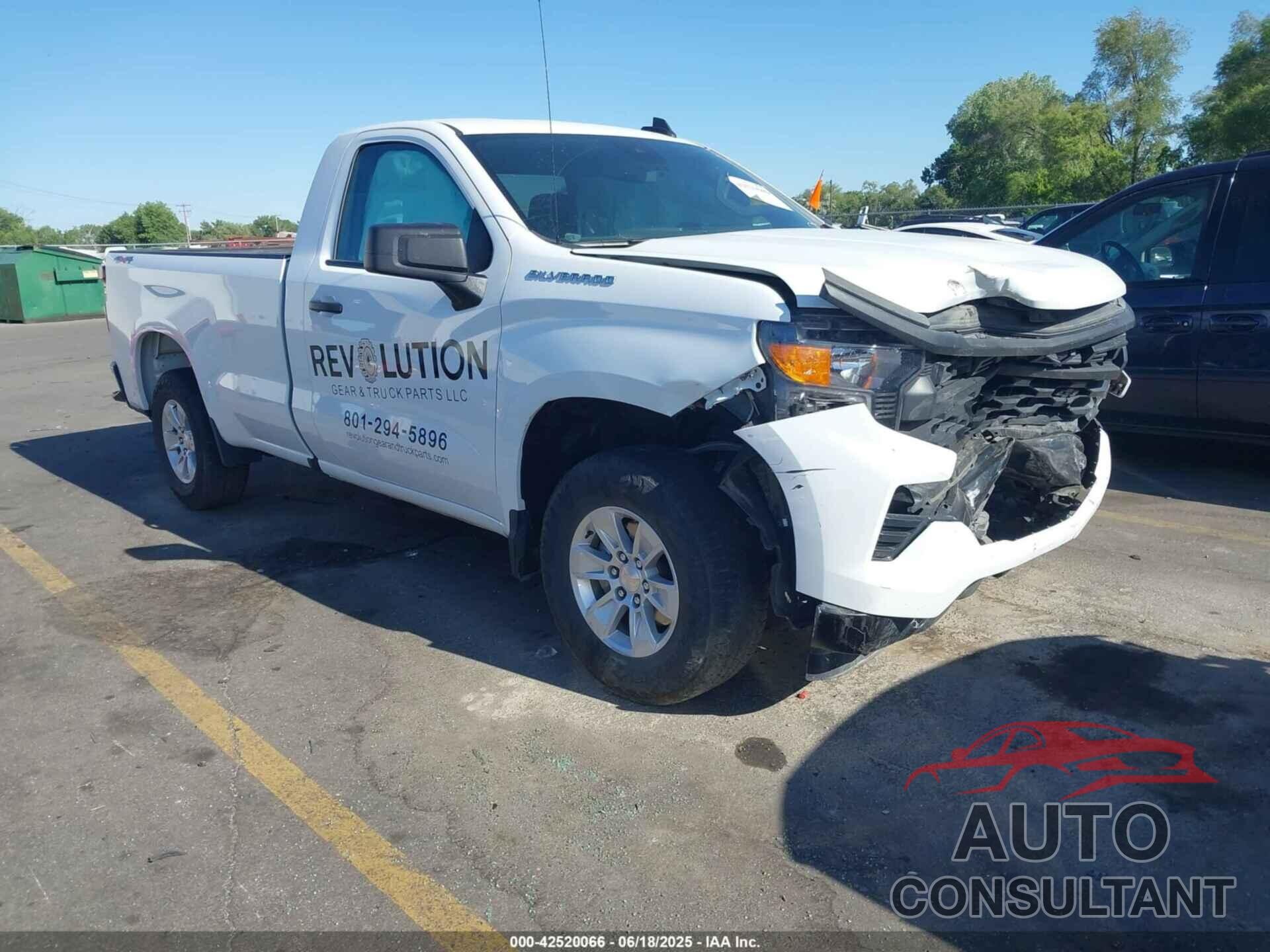 CHEVROLET SILVERADO 1500 2024 - 3GCNDAEK5RG319591