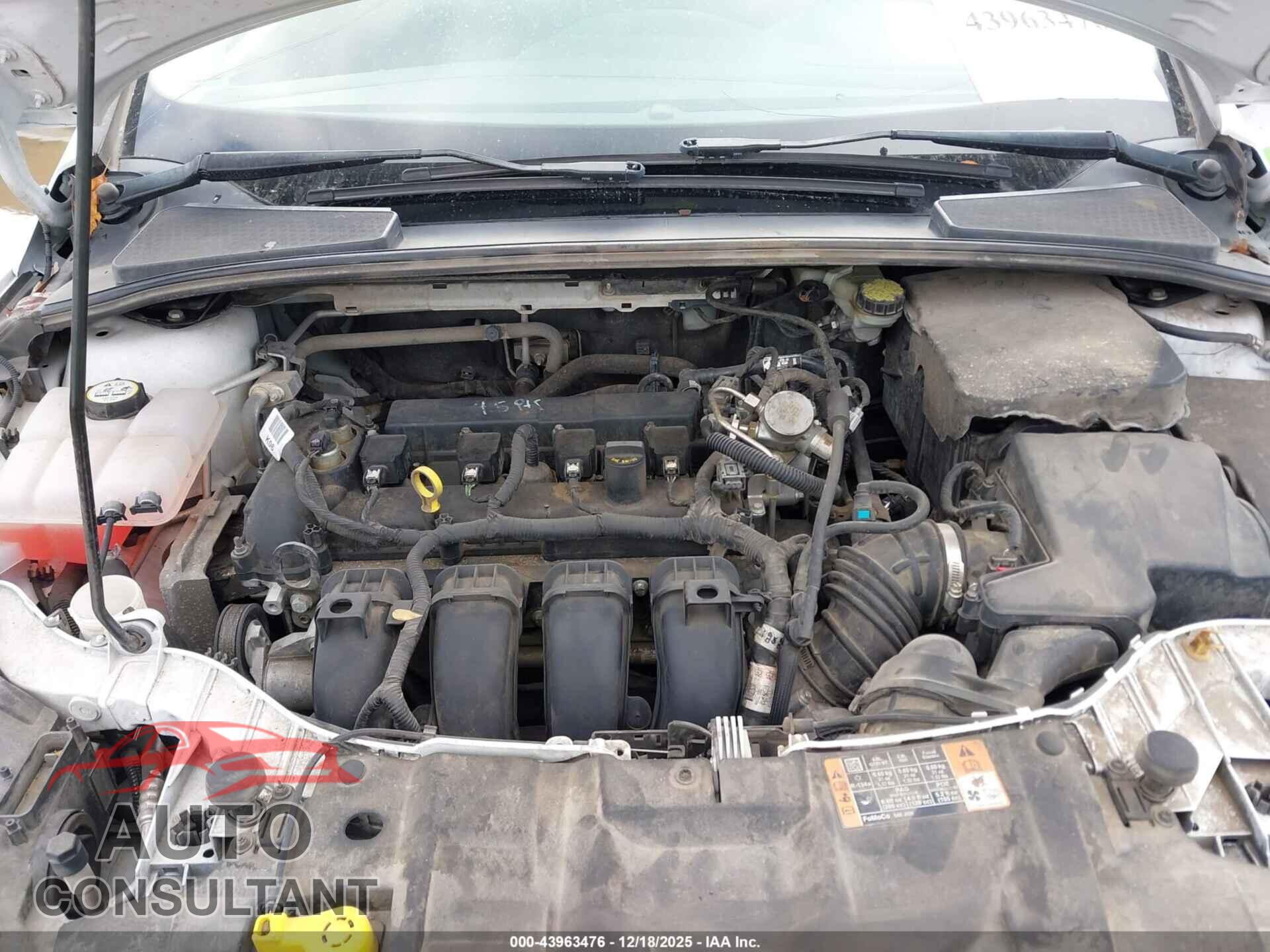 FORD FOCUS 2016 - 1FADP3E25GL383442