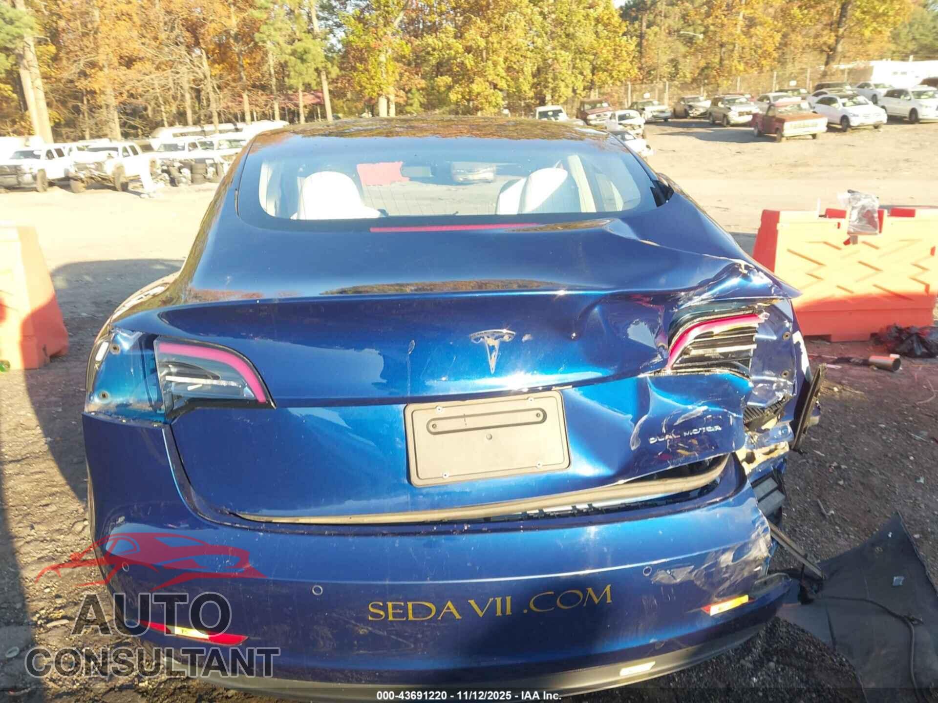 TESLA MODEL 3 2019 - 5YJ3E1EB8KF392017