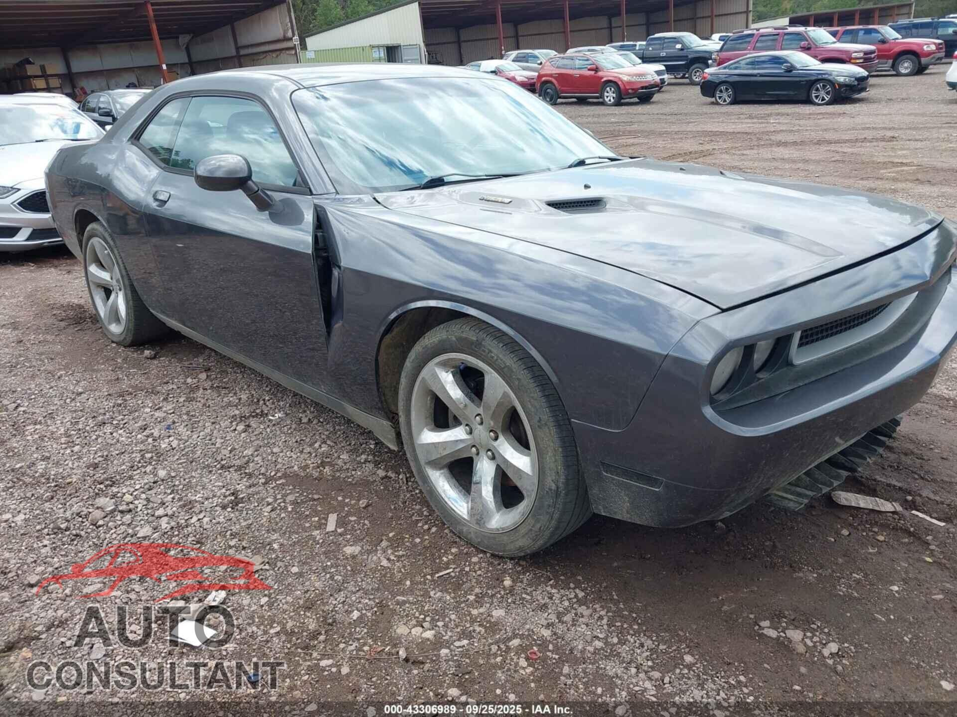 DODGE CHALLENGER 2013 - 2C3CDYBTXDH742323