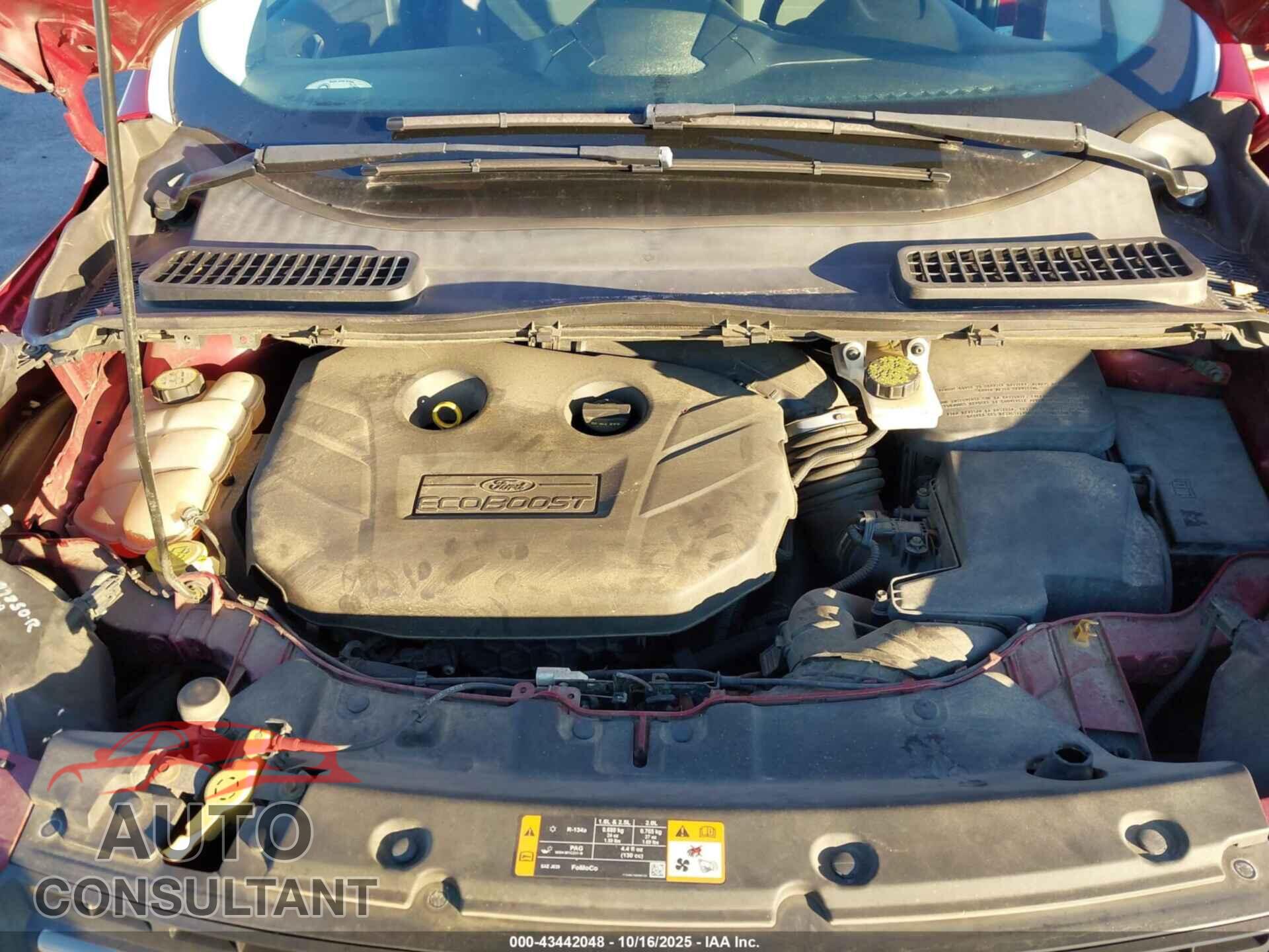 FORD ESCAPE 2013 - 1FMCU0G92DUC02306