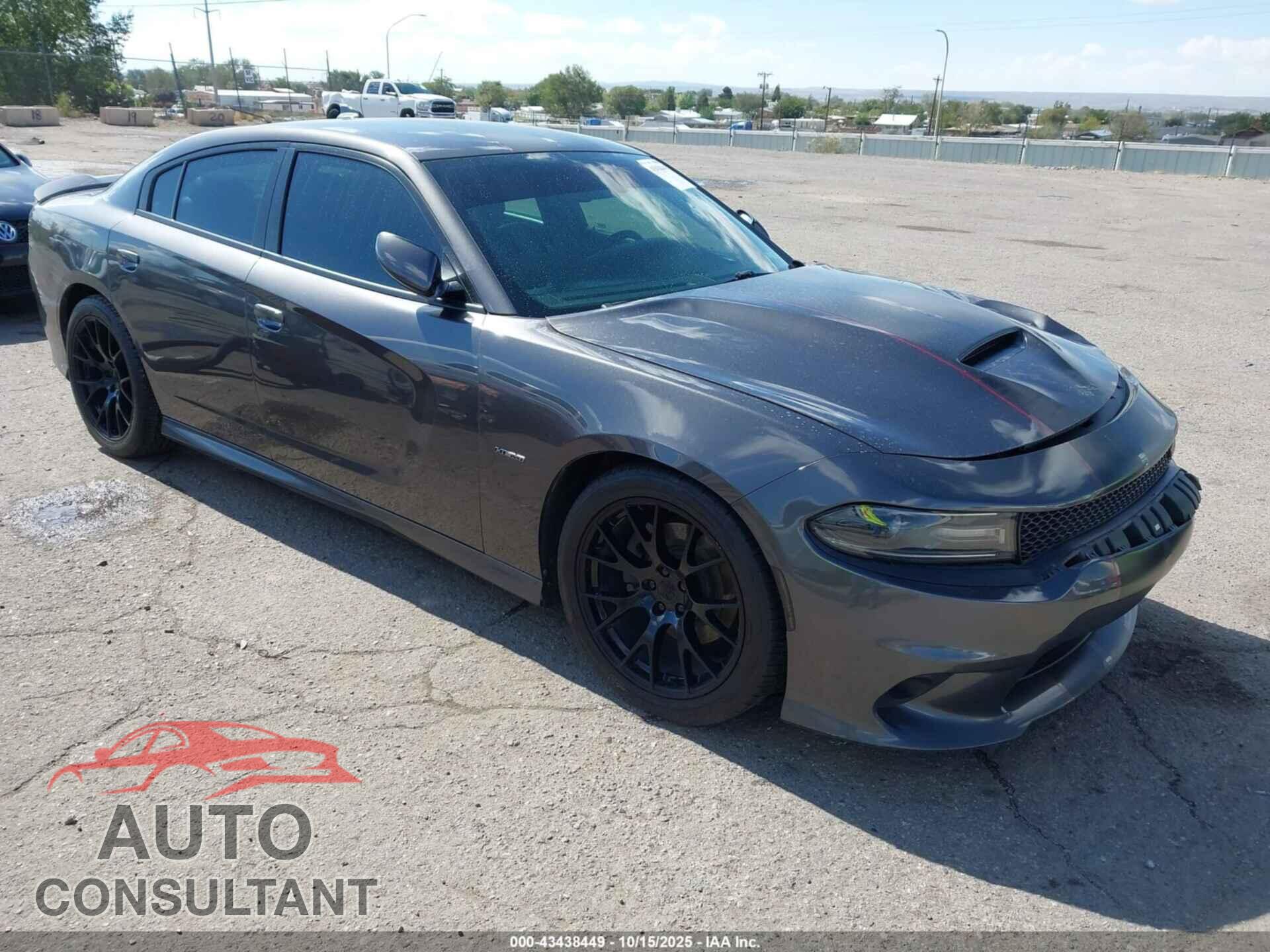 DODGE CHARGER 2019 - 2C3CDXCTXKH737113
