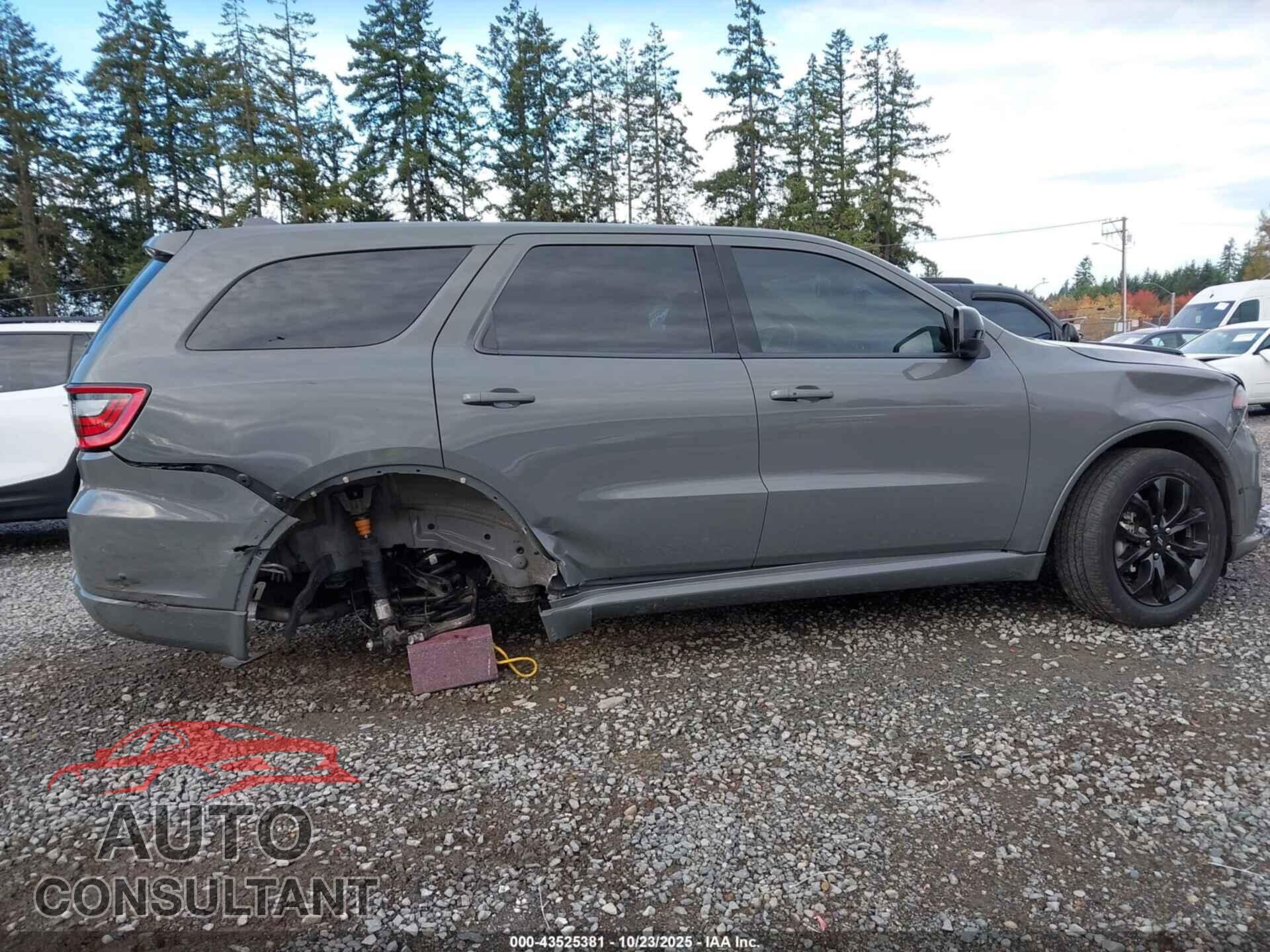 DODGE DURANGO 2019 - 1C4RDJDGXKC827966