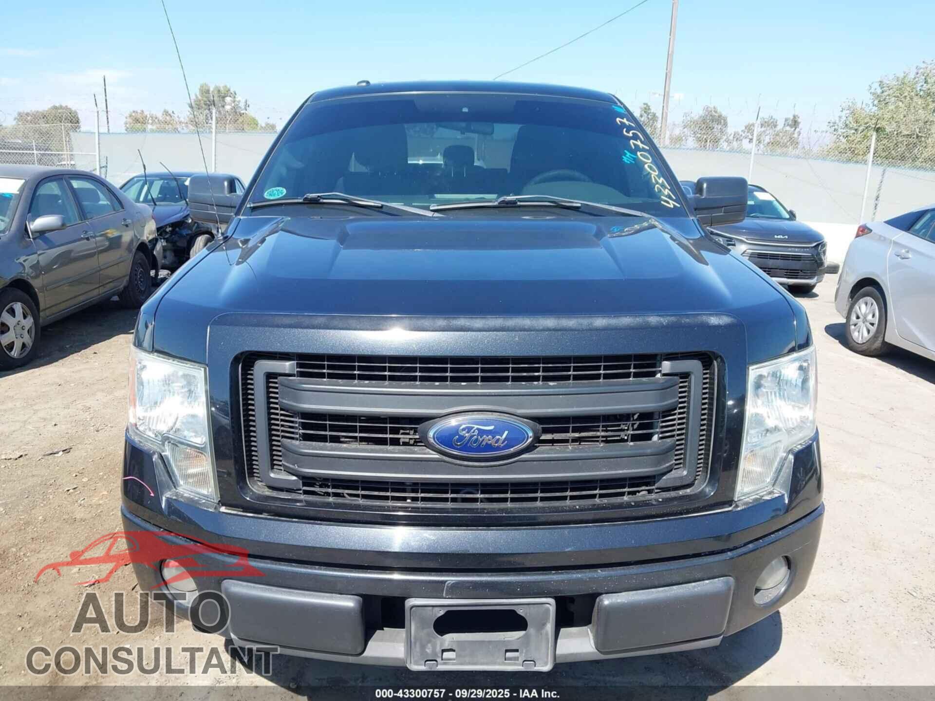 FORD F-150 2013 - 1FTFX1CF8DFD84009