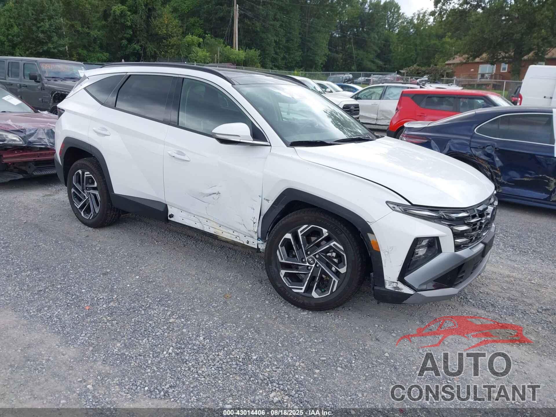 HYUNDAI TUCSON 2025 - 5NMJECDE5SH482870