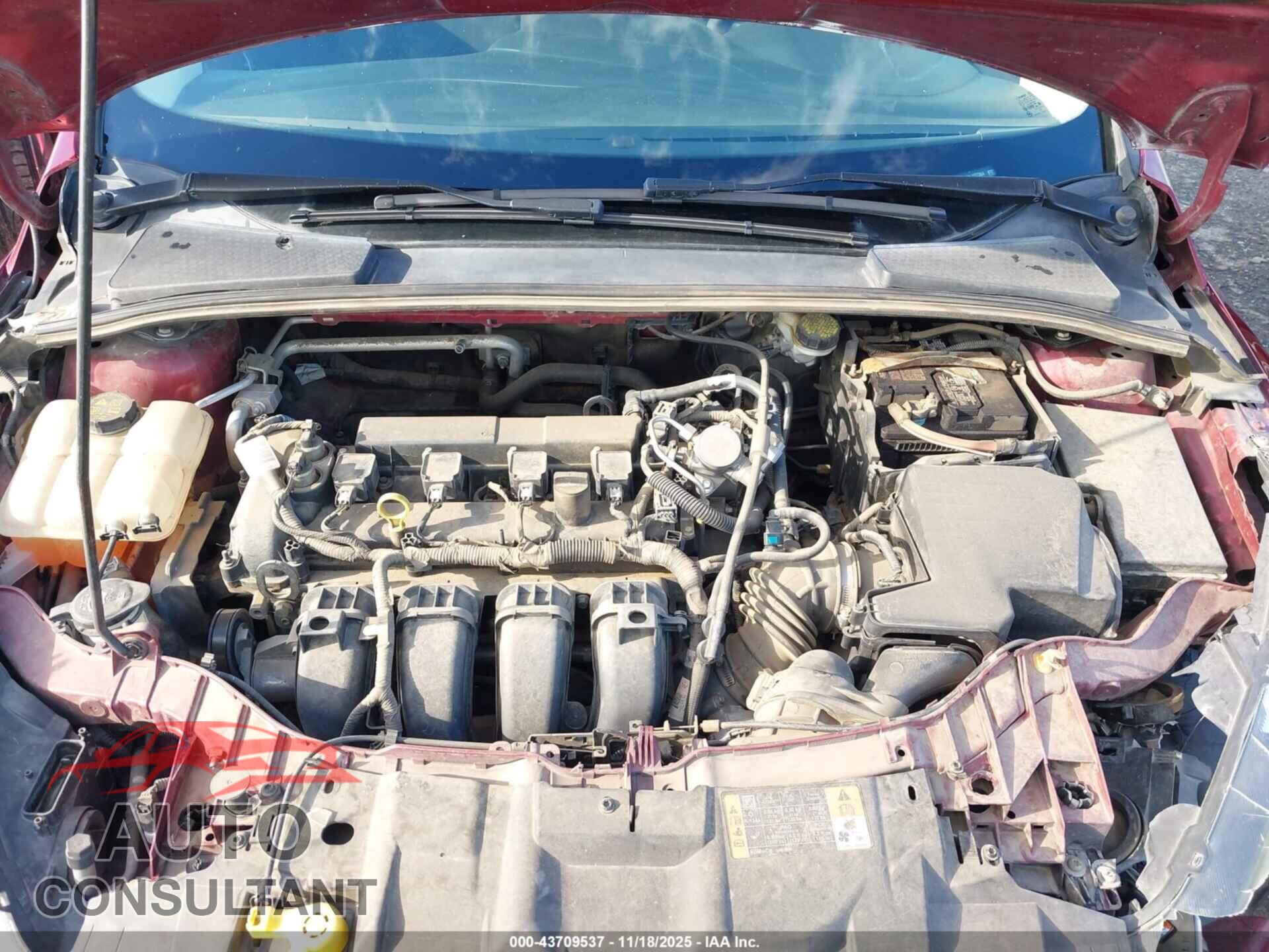 FORD FOCUS 2016 - 1FADP3K21GL337384
