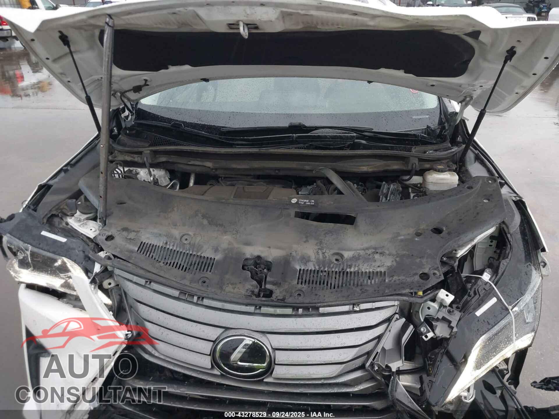LEXUS RX 350 2019 - 2T2ZZMCA0KC149263