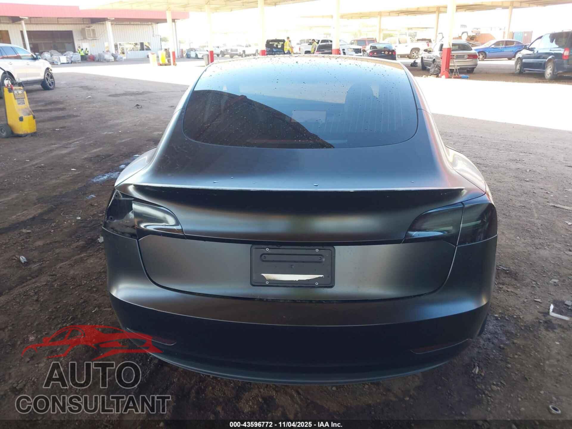 TESLA MODEL 3 2019 - 5YJ3E1EB6KF391870